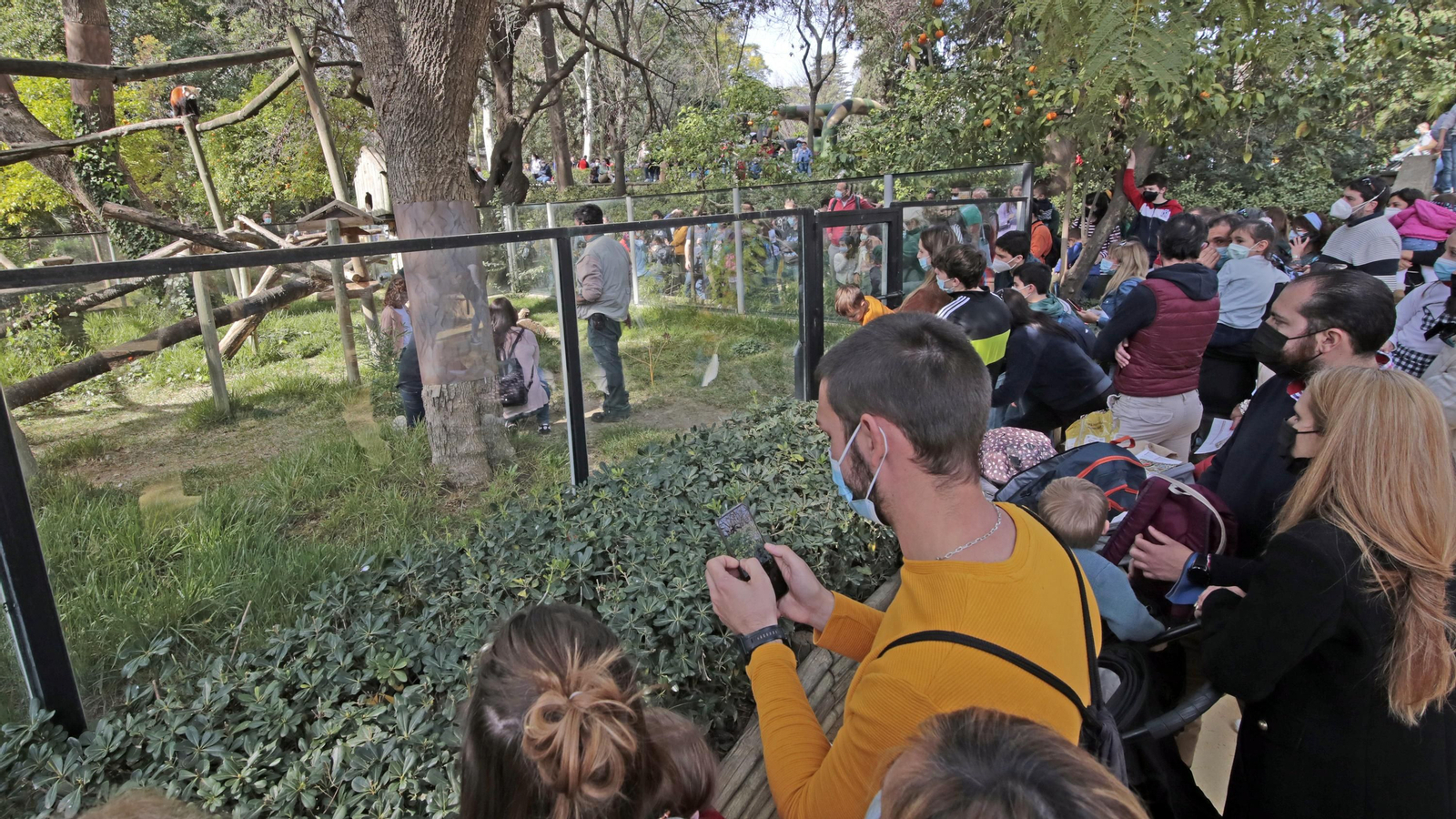 69 aniversario del Zoo de Jerez