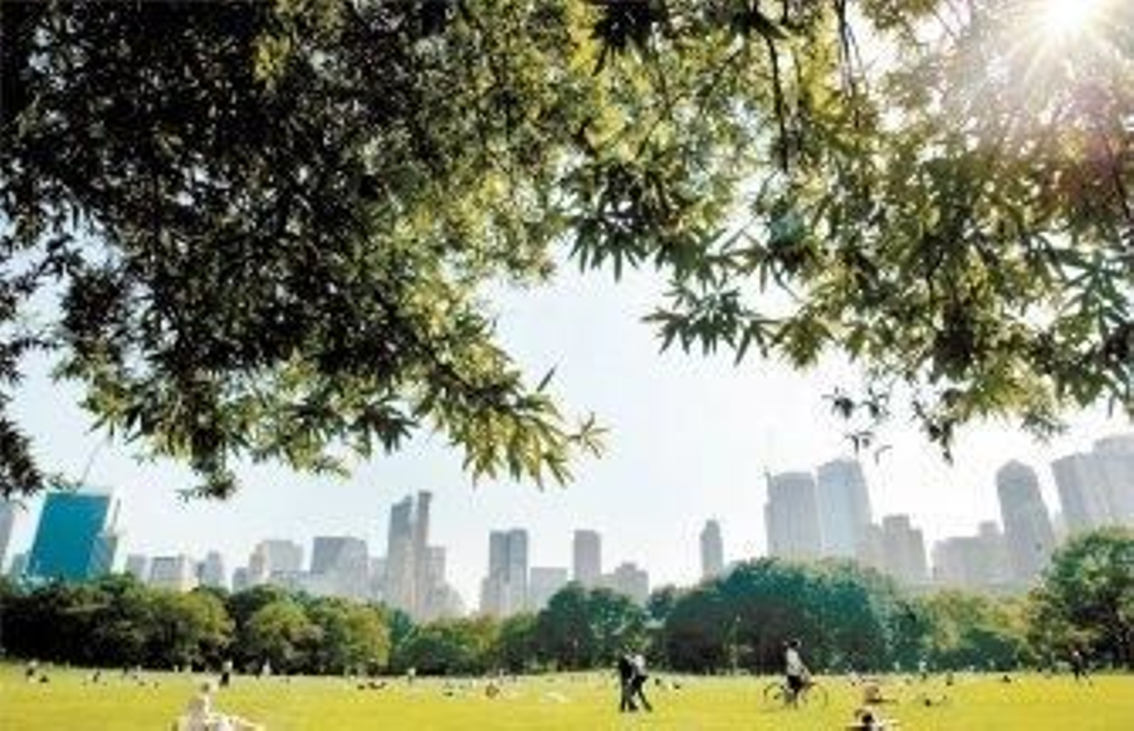 Central Park se queda sin acceso inalámbrico a internet