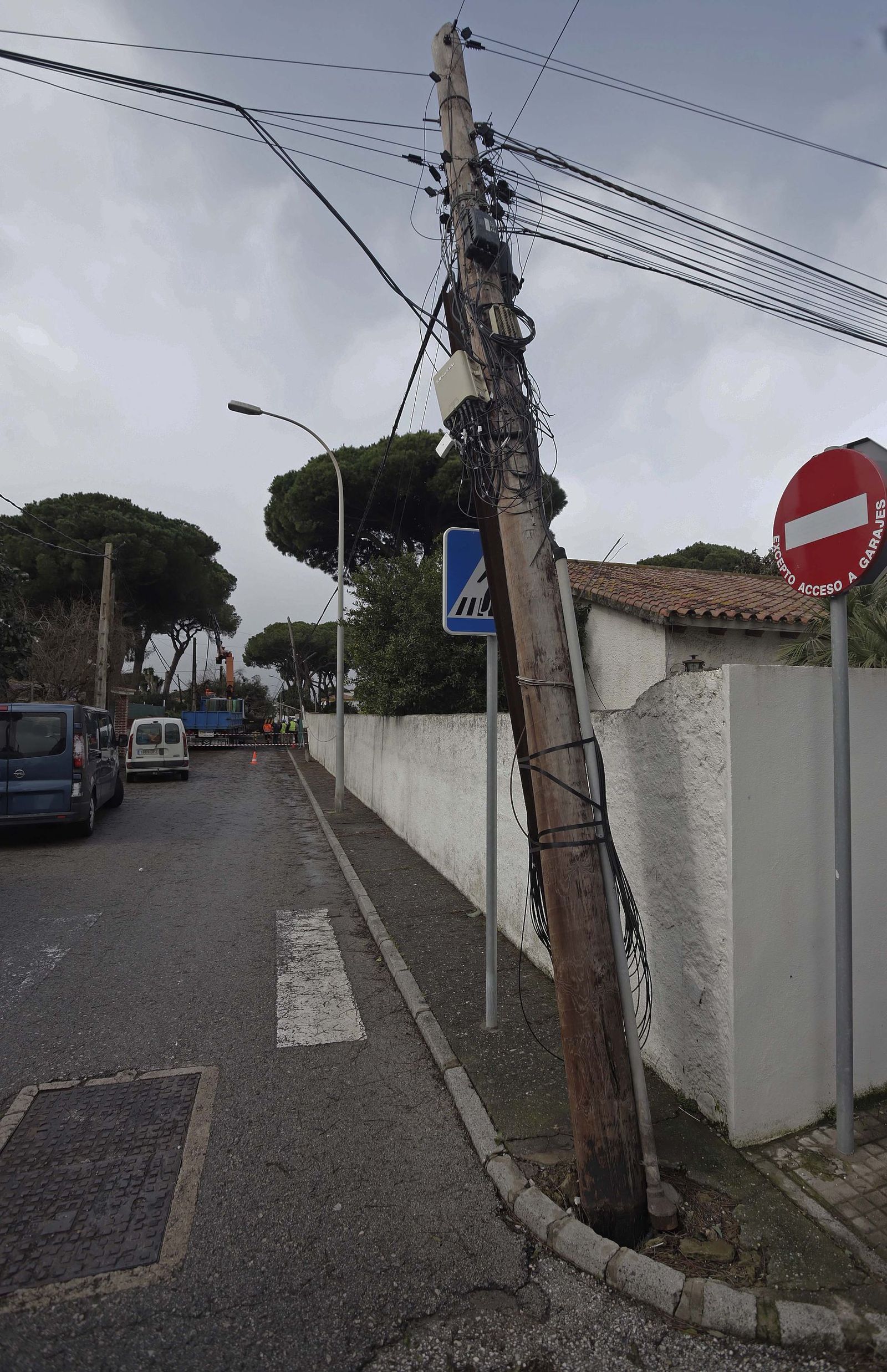 24 horas sin electricidad en la urbanización Los Pinos por árboles caídos tras la borrasca Kristin, en imágenes