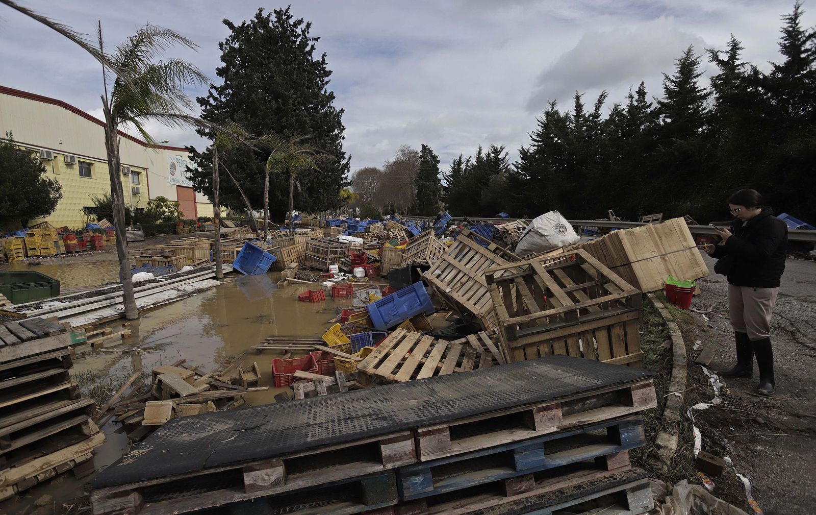 San Martín del Tesorillo después de la borrasca Marta, en imágenes