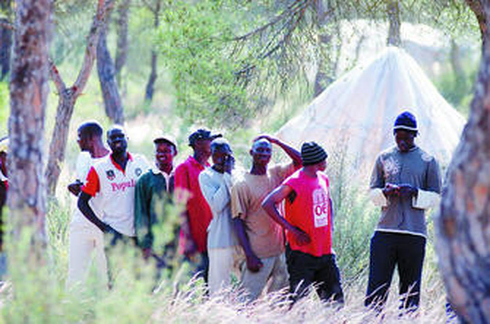 Asentamiento de inmigrantes en la zona fresera palerma.