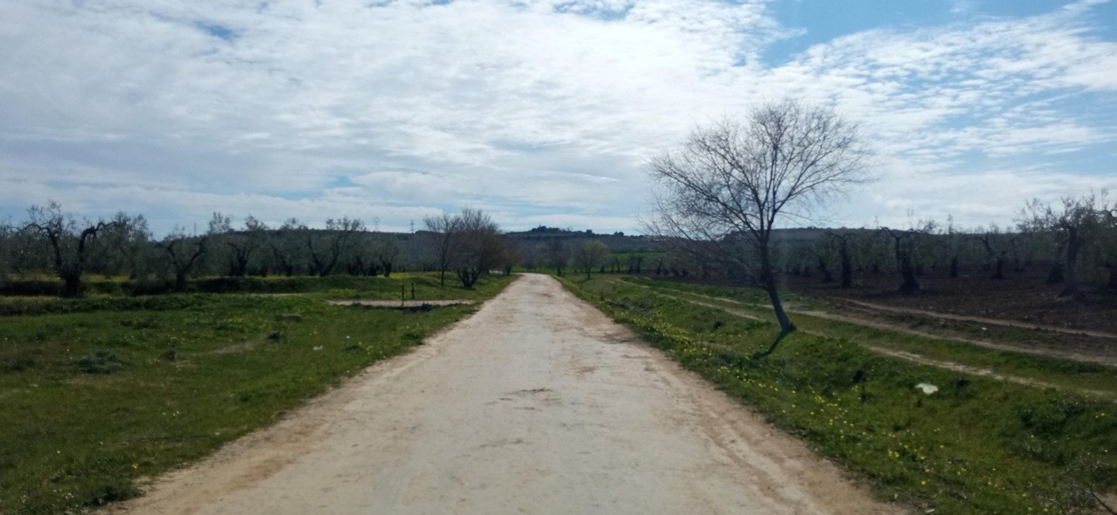 Las imágenes de la ruta de la dehesa de Albaida del Aljarafe