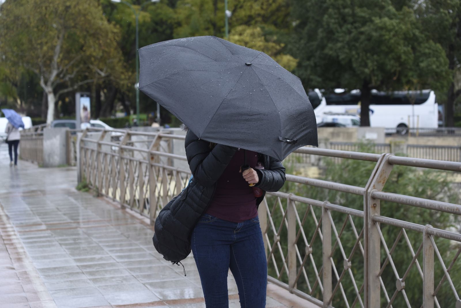 Una mujer se protege de la lluvia con un paraguas.