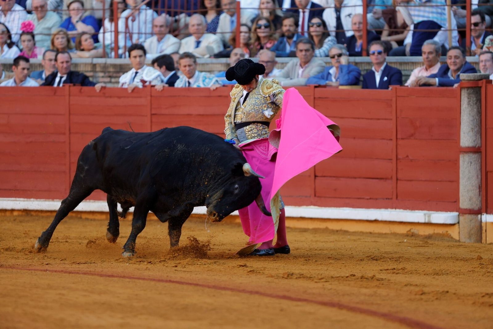 Las mejores fotos de la corrida de Morante, Ortega y Roca Rey en la Feria Taurina de Córdoba
