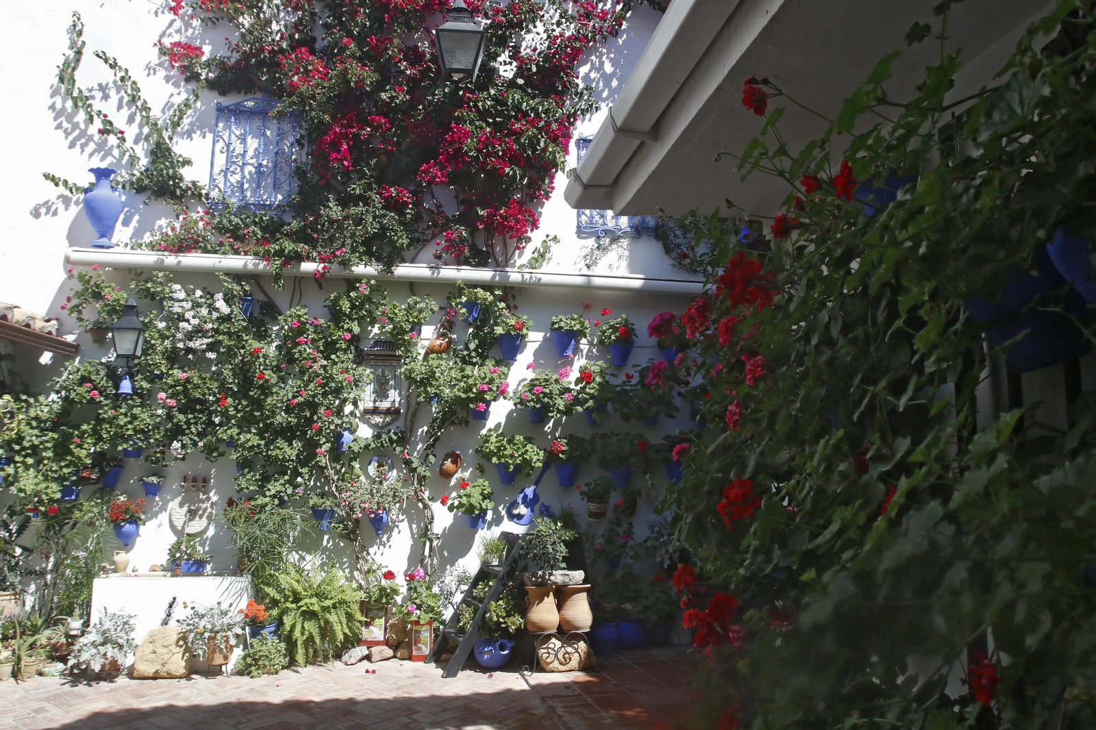 Ruta San Lorenzo de los Patios de Córdoba, en imágenes