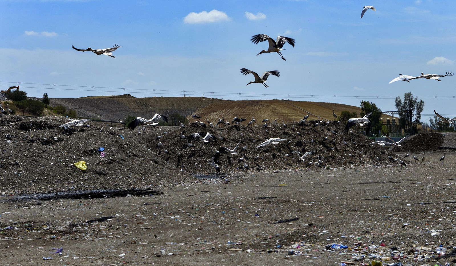 El vertedero Montemarta-Cónica en el verano de 2021.