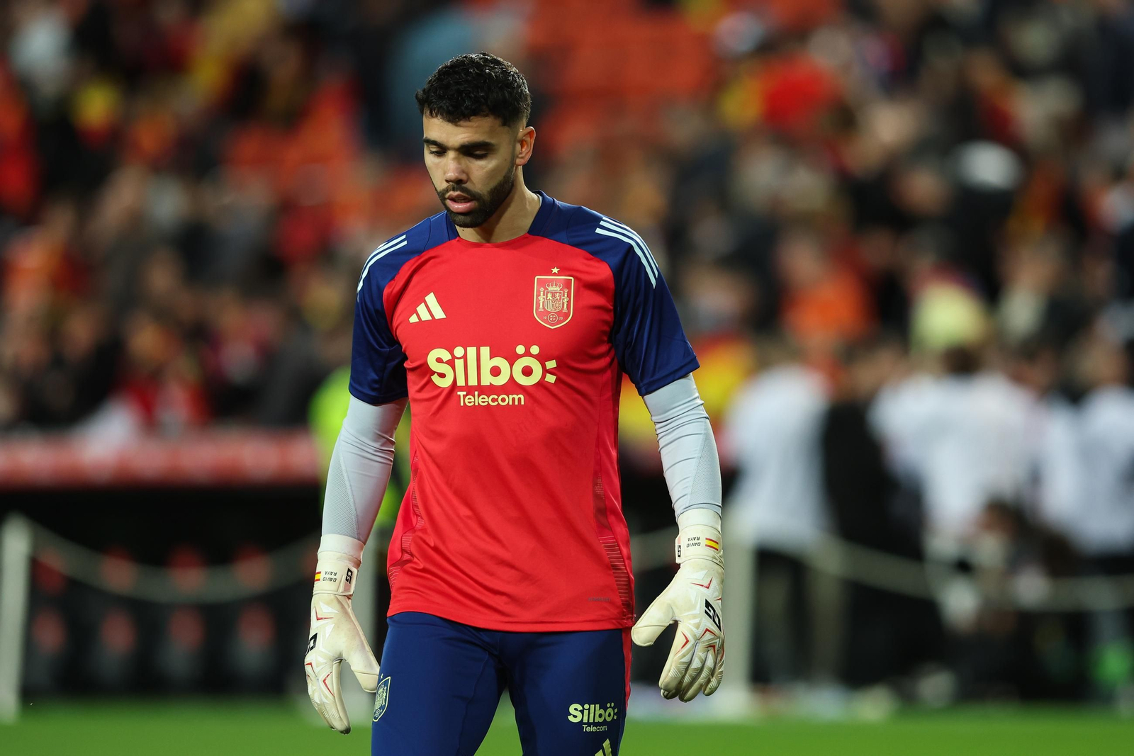 Las mejores fotos del España - Países Bajos