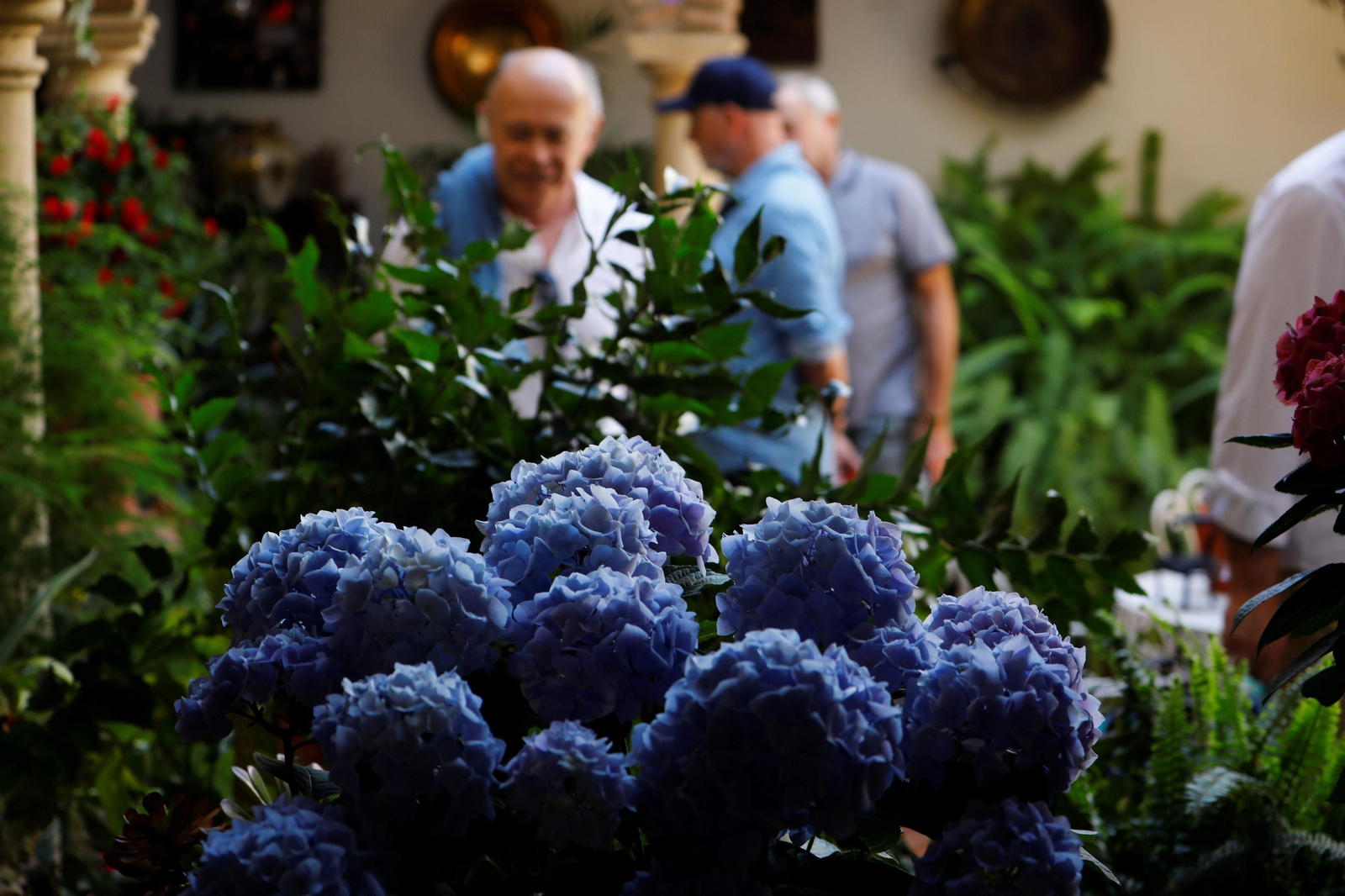 La ruta de Patios Santa Marina-San Agustín, en imágenes