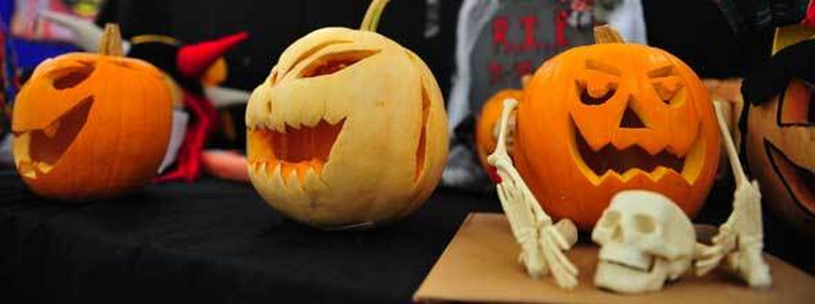 Captura de la web de Bob Basset Studio