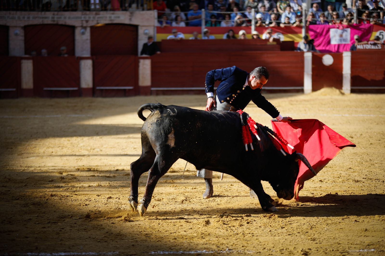 Imágenes del festival mixto lucha contra el cáncer