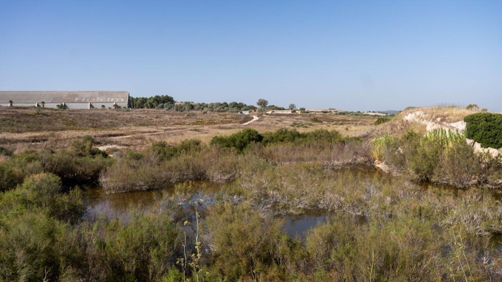 Imagen del humedal de San Gaspar con las instalaciones de Holcim en Jerez