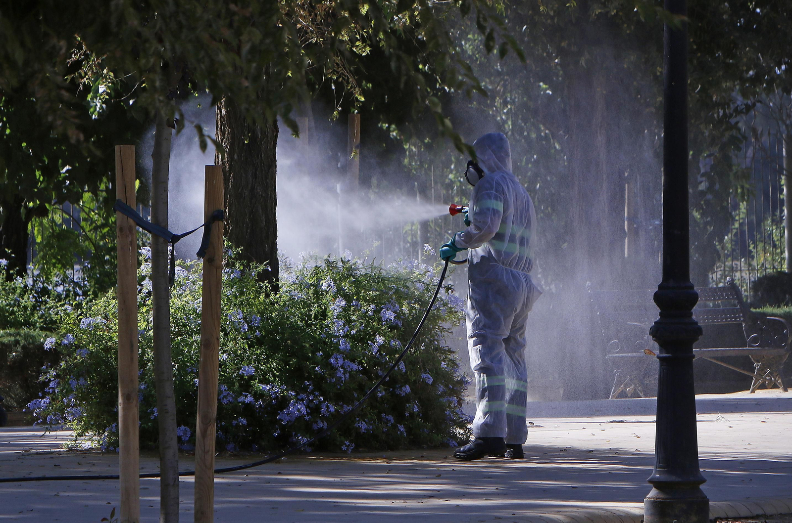 Un operario de una empresa especializada fumigando en un parque de Coria.