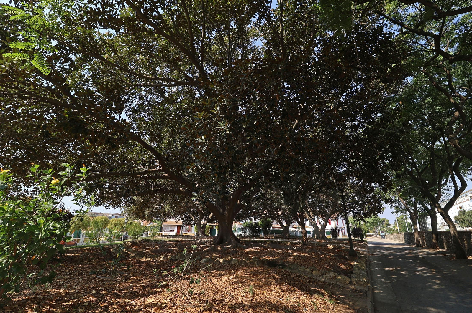 Imágenes del Barrio Reina Victoria, un legado británico en Huelva
