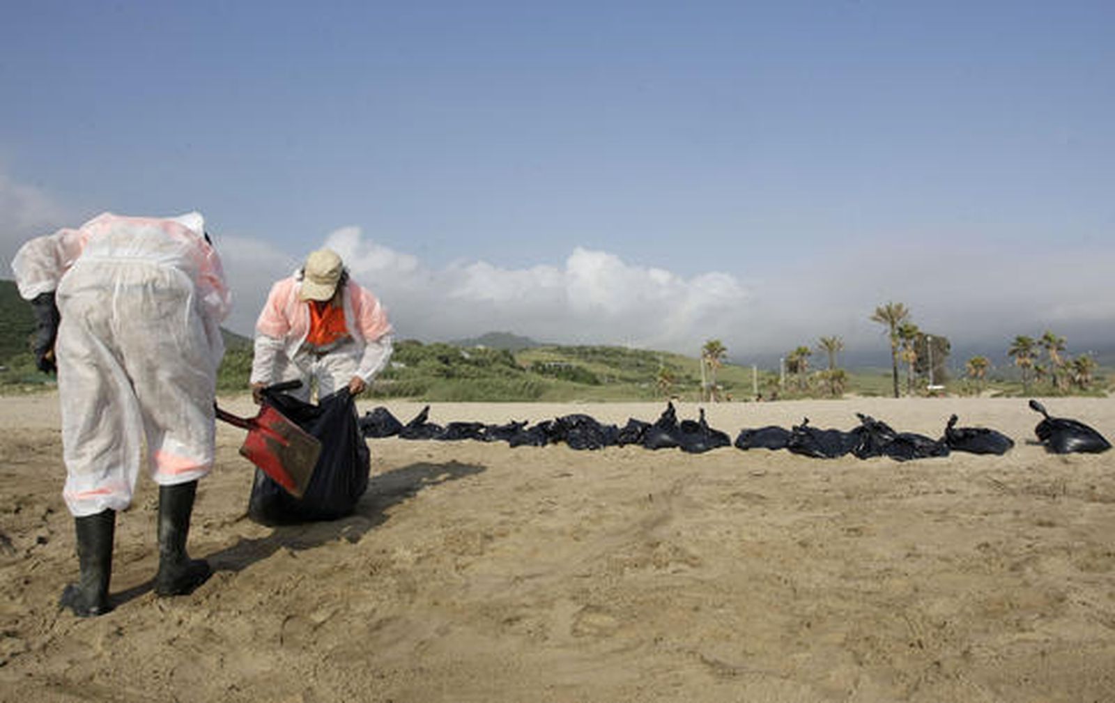 Desplegado el dispostivo de limpieza en la playa de Getares.

Foto: Erasmo Fenoy
