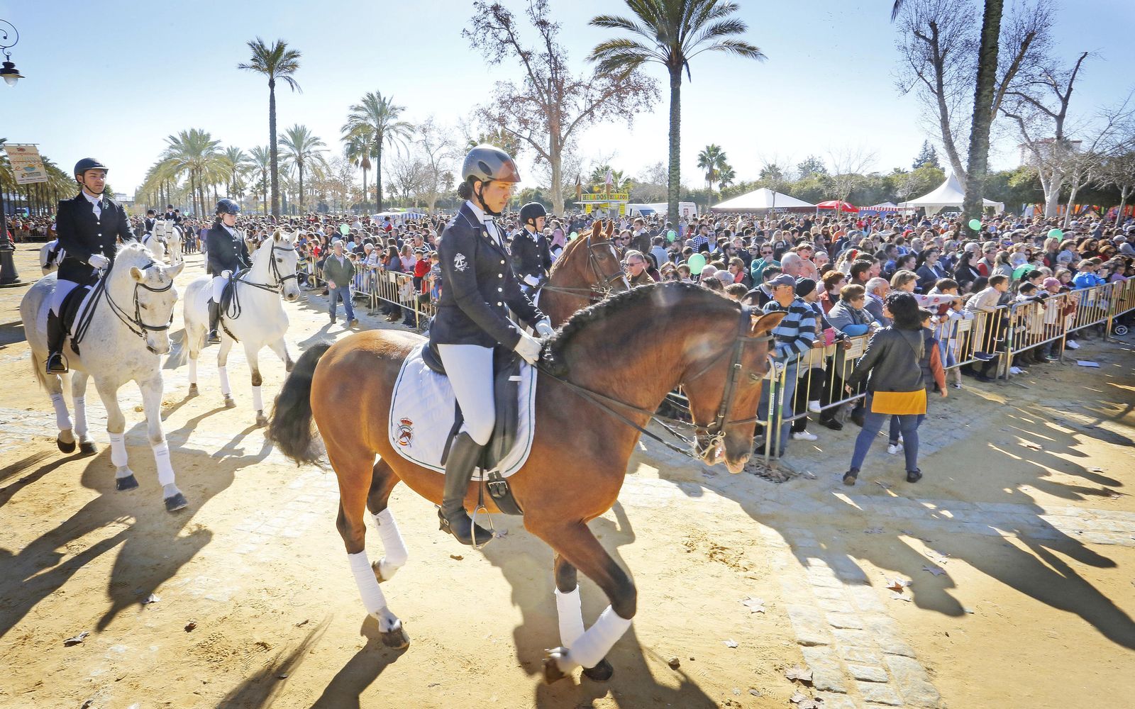 Las imágenes de la fiesta de San Antón