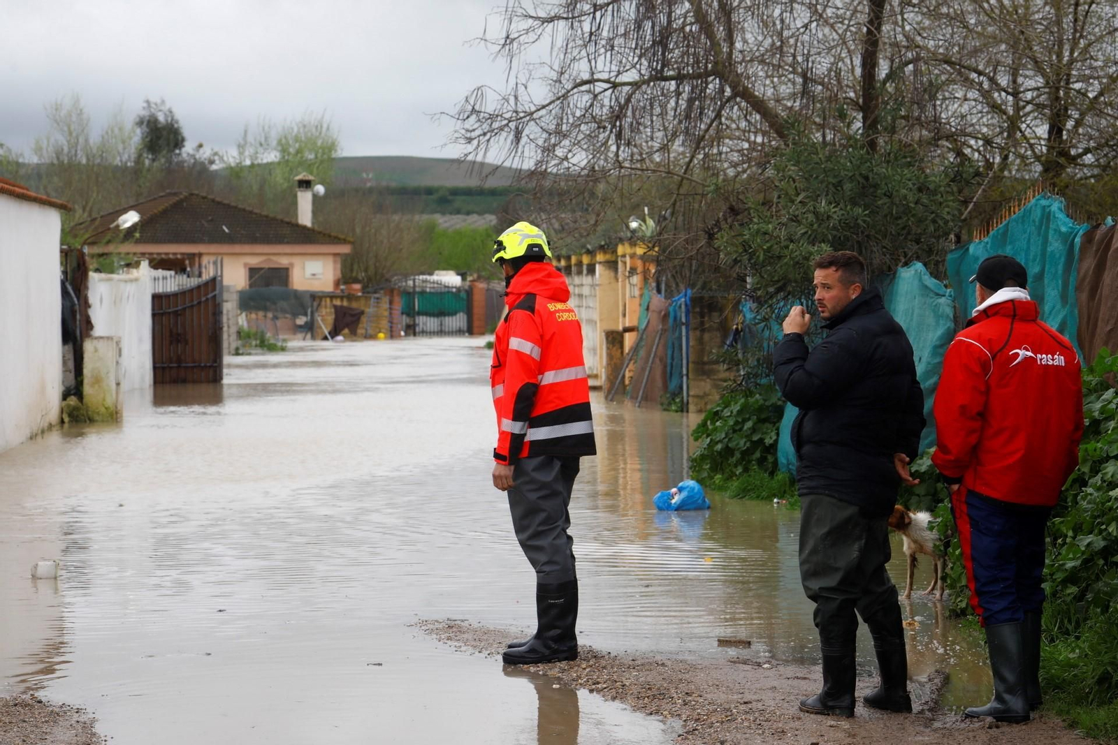 Las imágenes de las parcelaciones inundadas por la crecida del río Guadalquivir