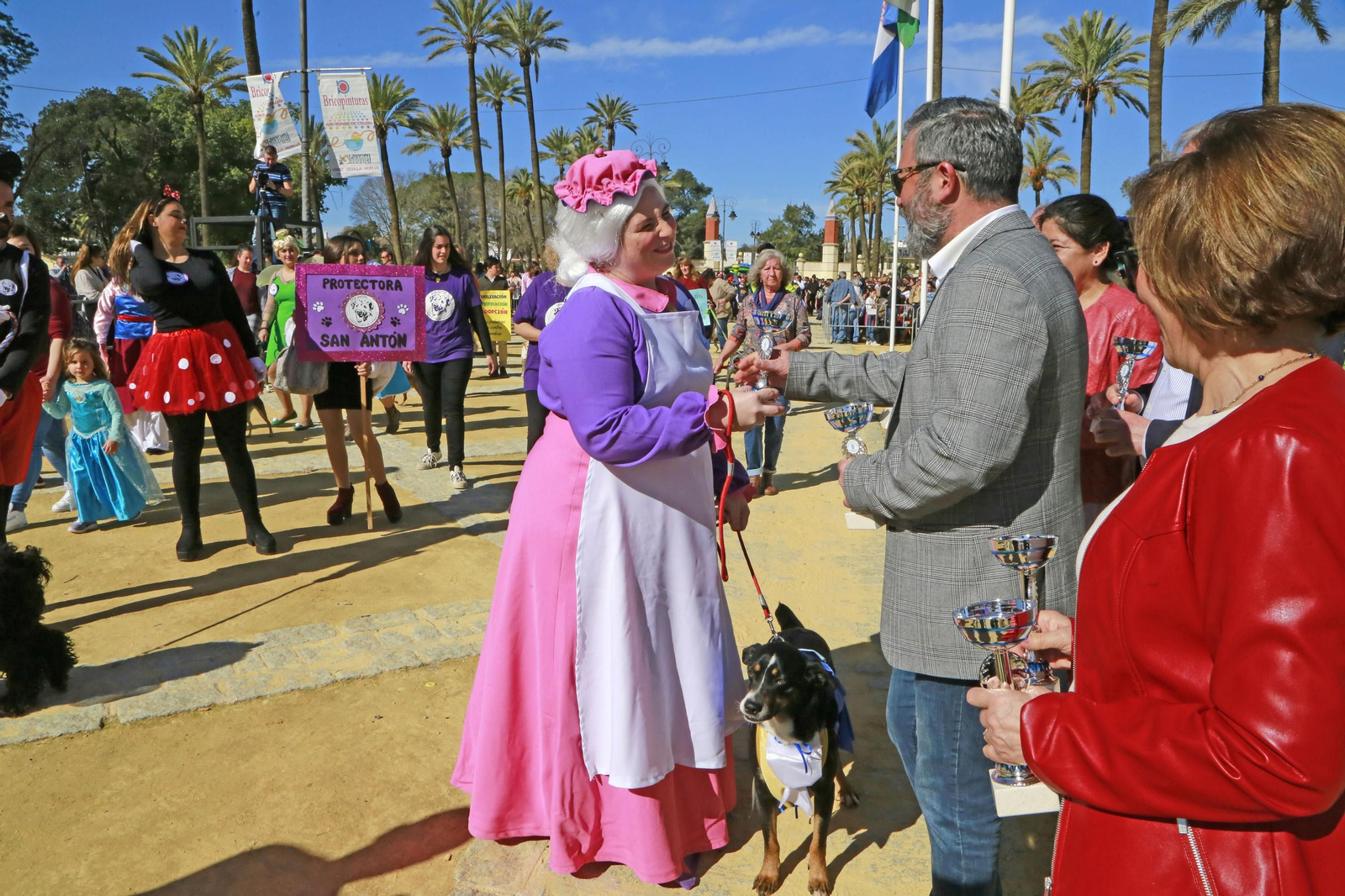 Imágenes de San Antón 2020 en Jerez