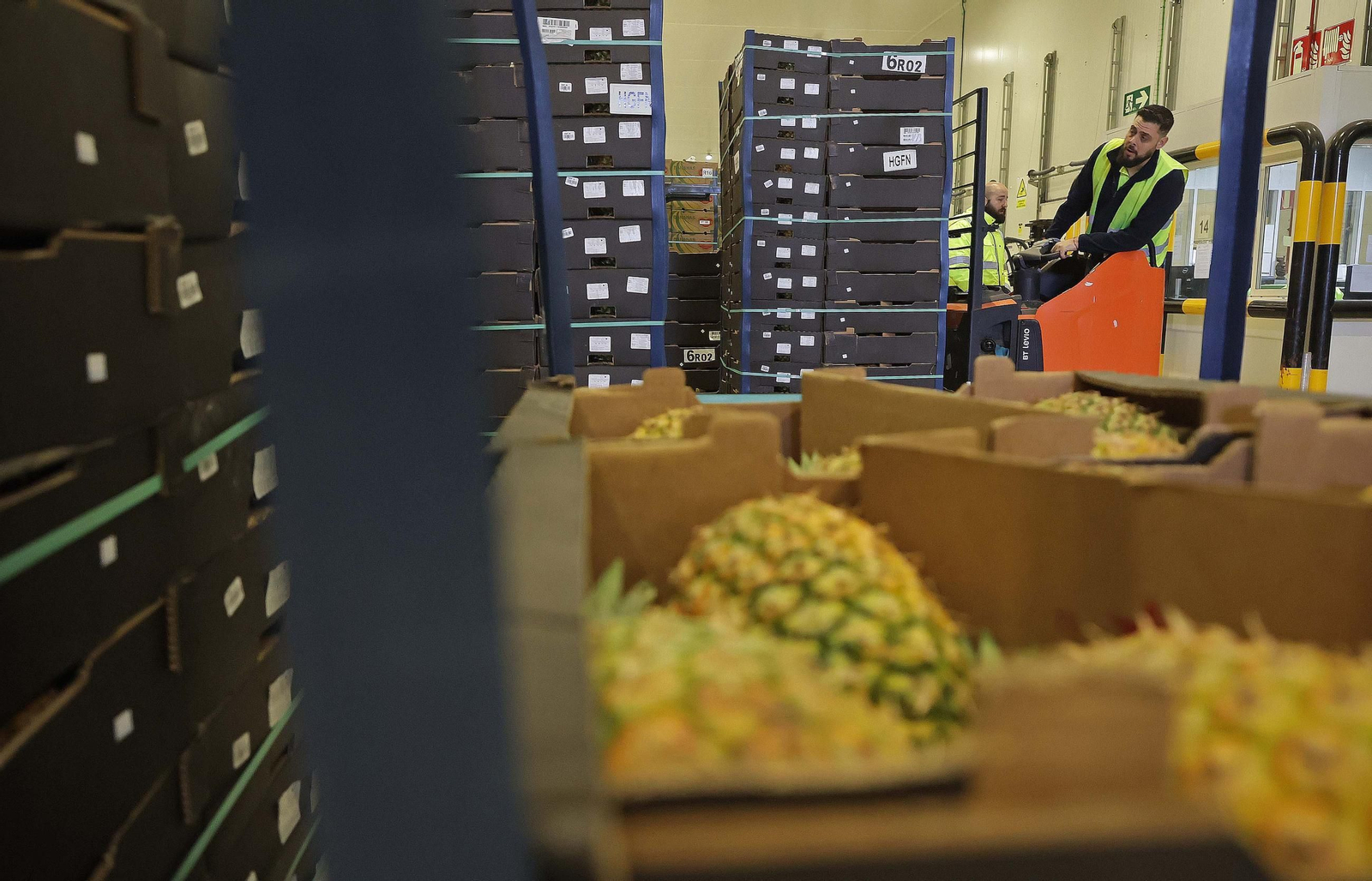 Fotos de la visita a la empresa Americold en el Puerto de Algeciras