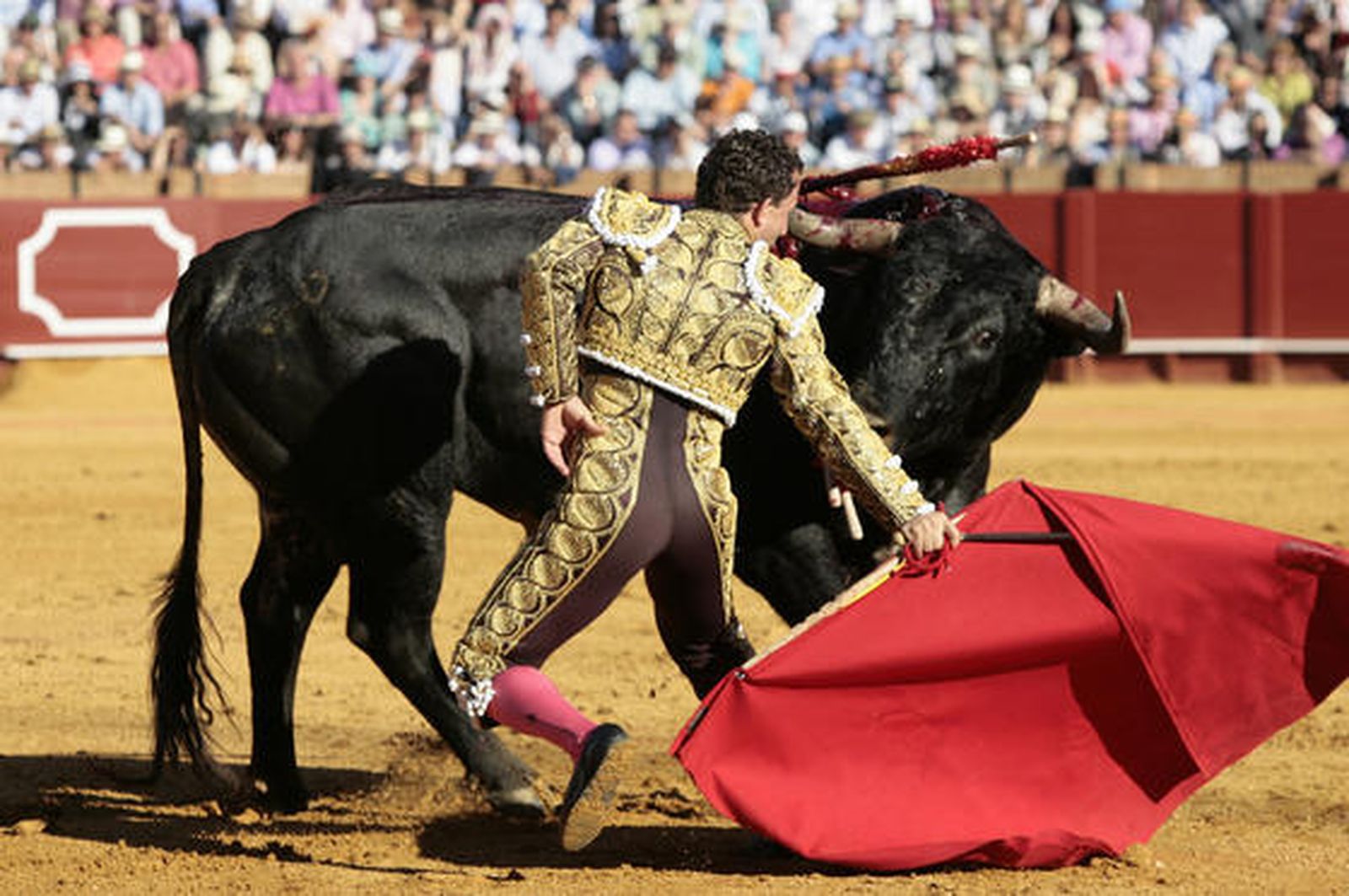 El diestro Rafaelillo en plena faena con el segundo Miura de la tarde.

Foto: Juan Carlos Muñoz