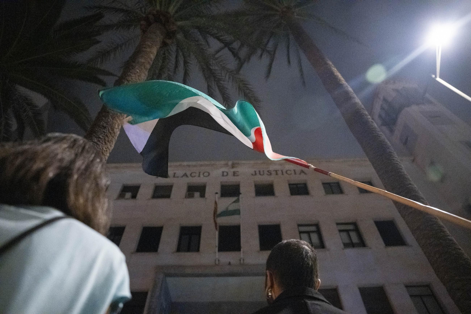 La Plataforma Almería por Palestina se manifiesta por la situación en Gaza, en imágenes