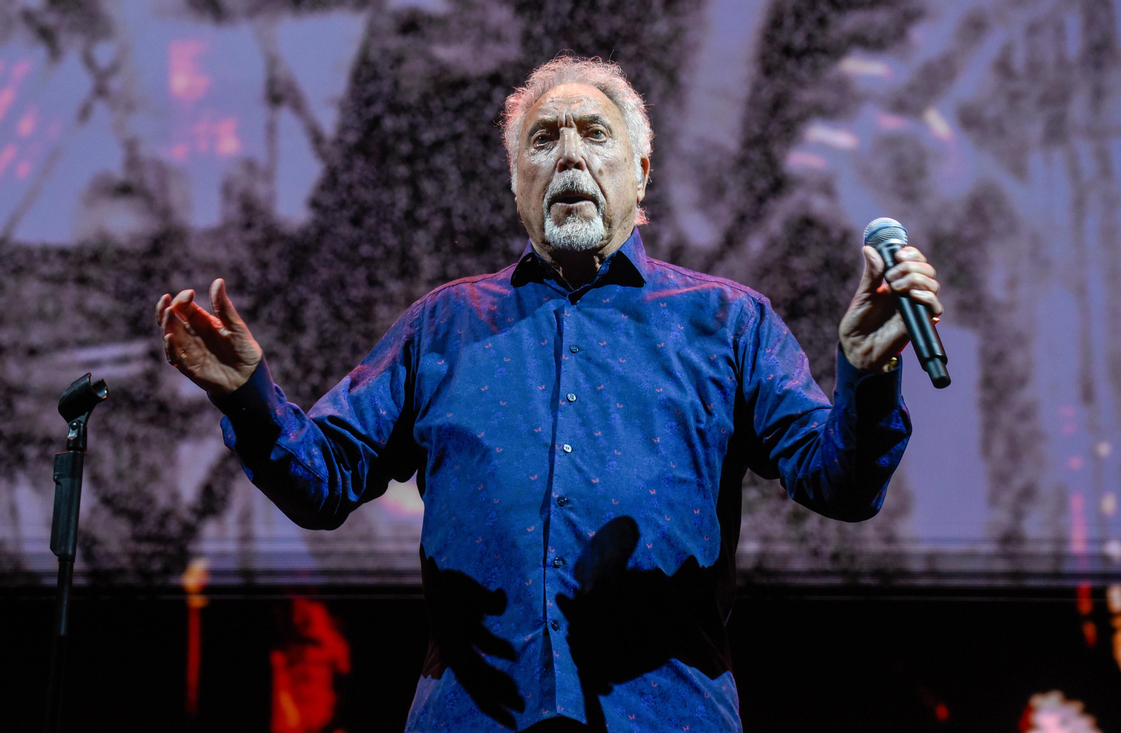 Concierto de Tom Jones