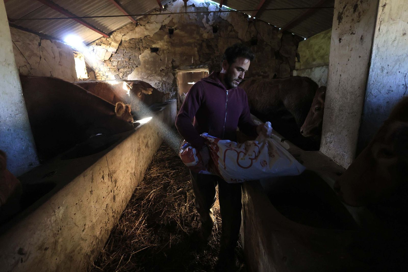 Las fotografías de la ganadería de Luis Benítez en Tarifa
