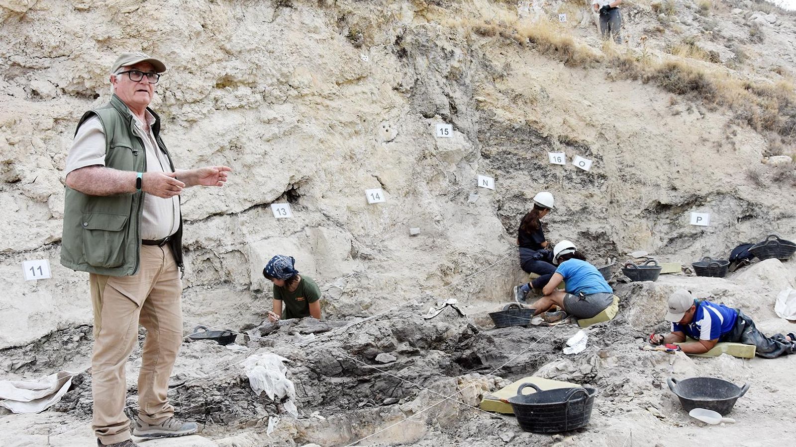 El paleontólogo Bienvenido Martínez-Navarro