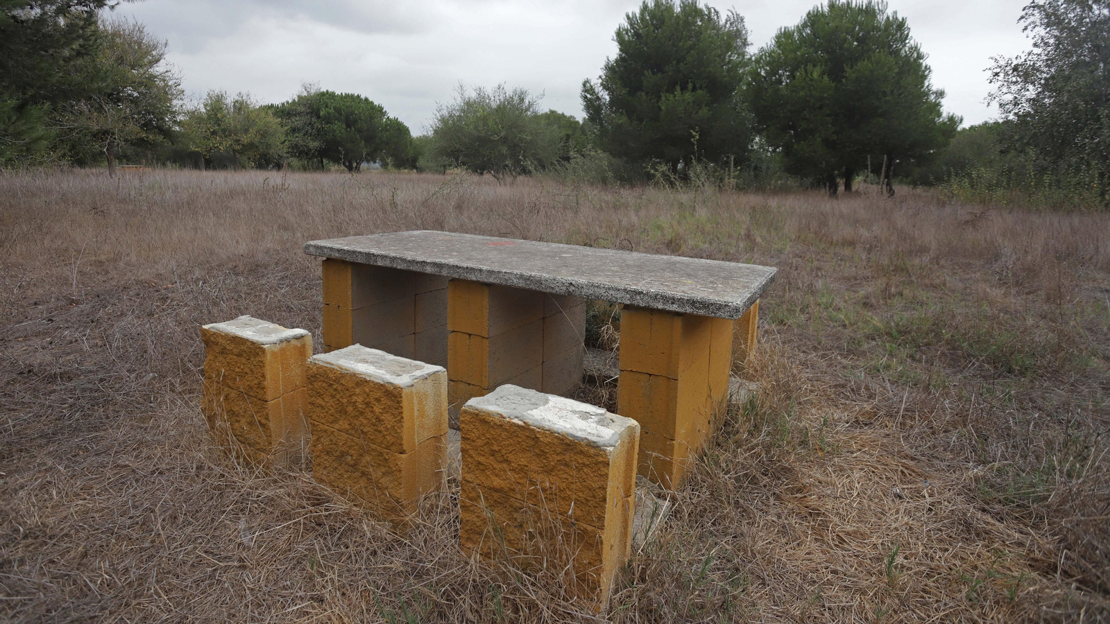 Fotos del parque del Torrejón en Algeciras
