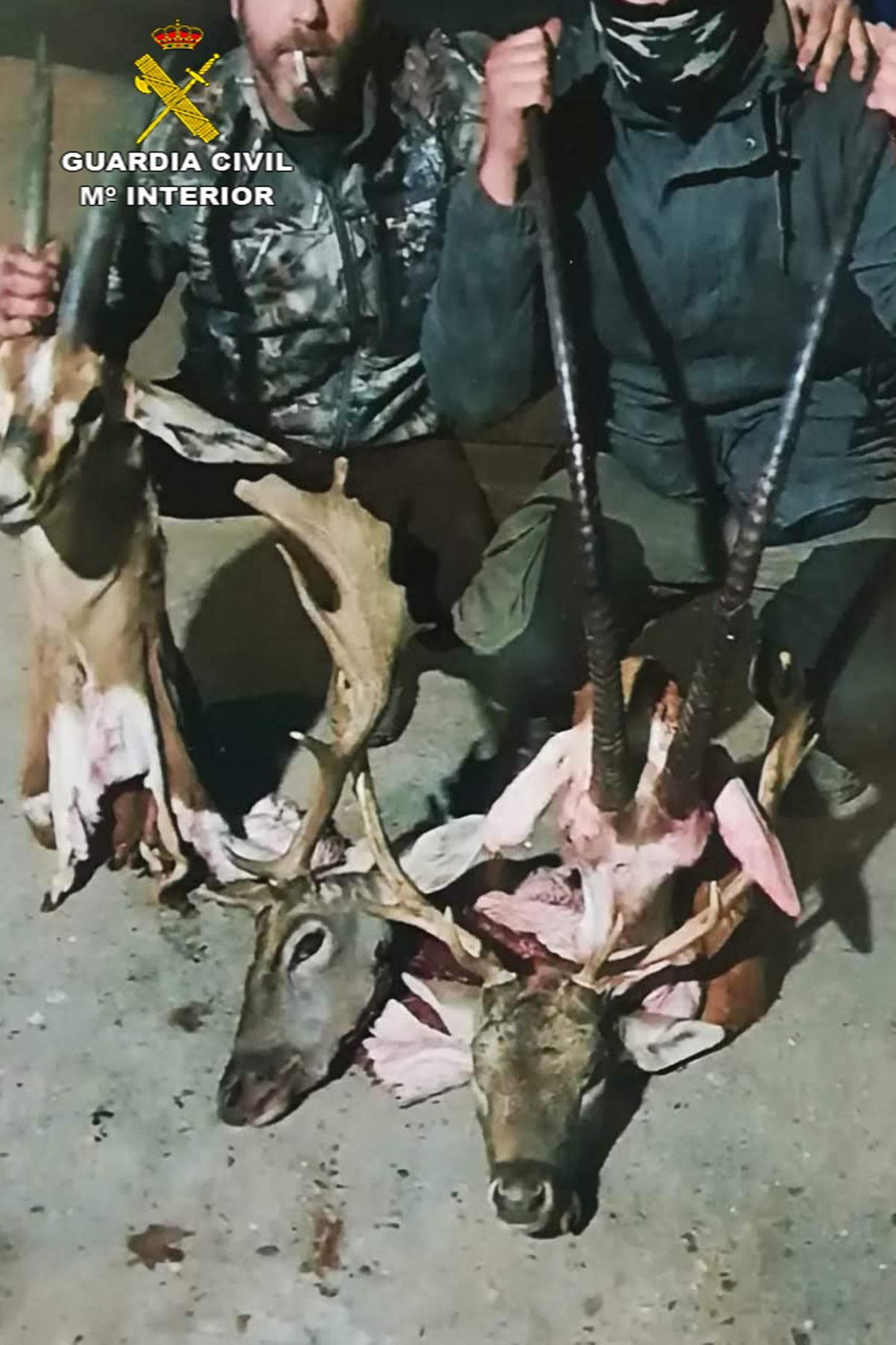 Investigados por cazar especies protegidas en la reserva de El Castillo de las Guardas