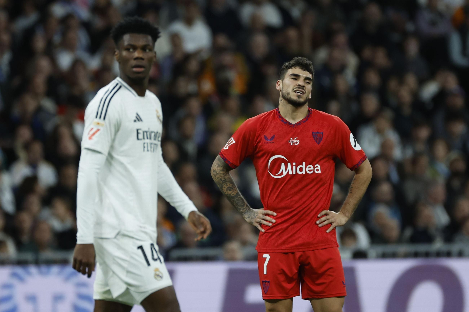 Las fotos del Real Madrid - Sevilla