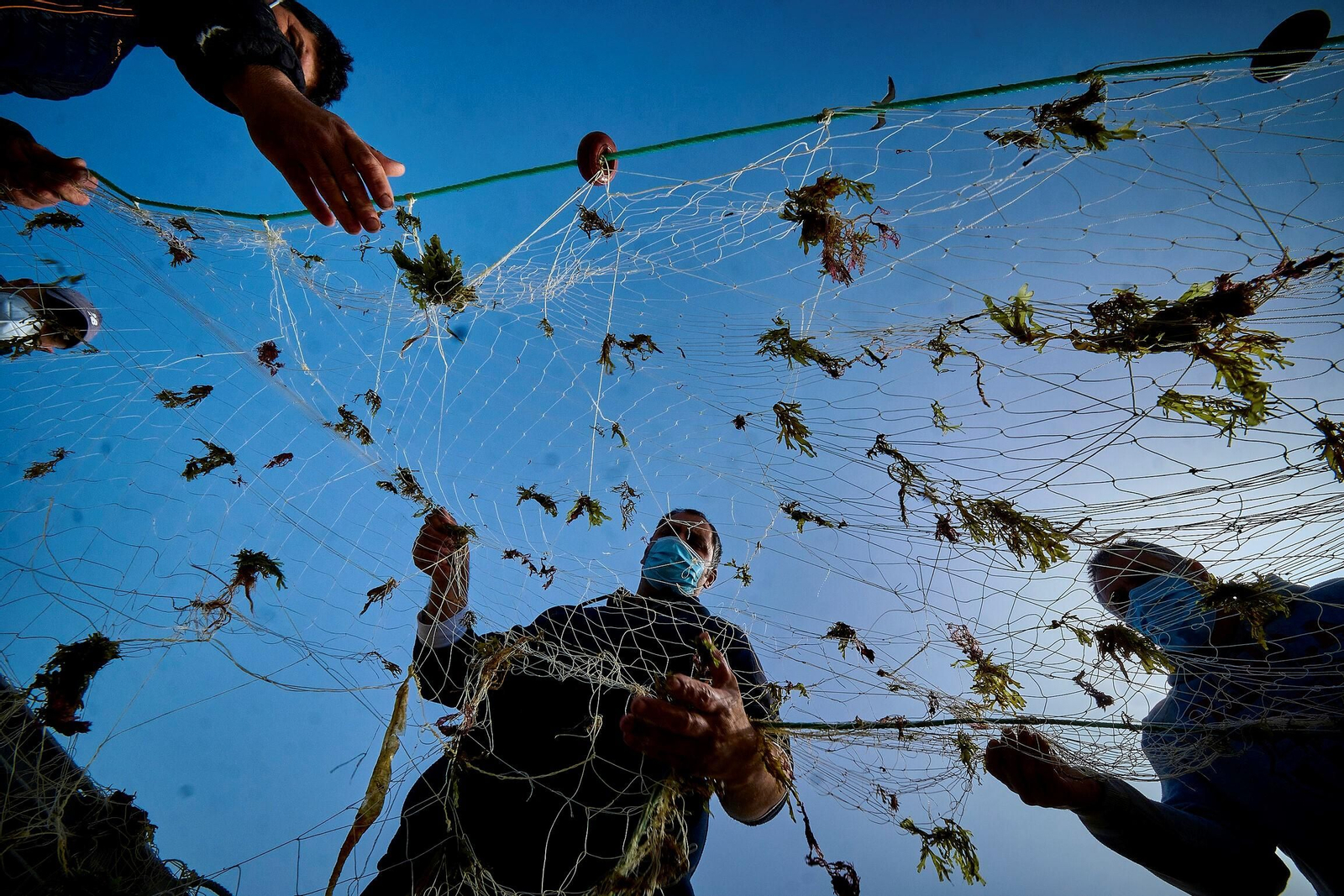 Pescadores quitando de sus redes algas en el puerto de Conil.