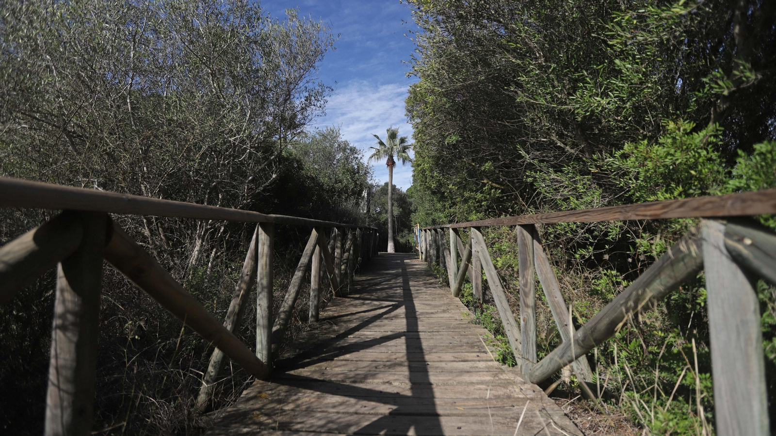 Fotos del estuario del río Guadiaro en San Roque