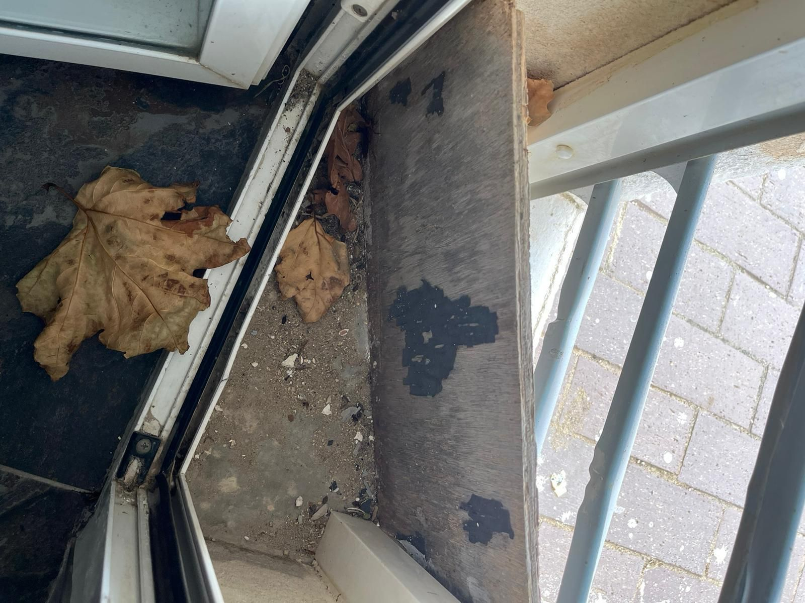 Imágenes del estado de deterioro de Puerto América, en Cádiz