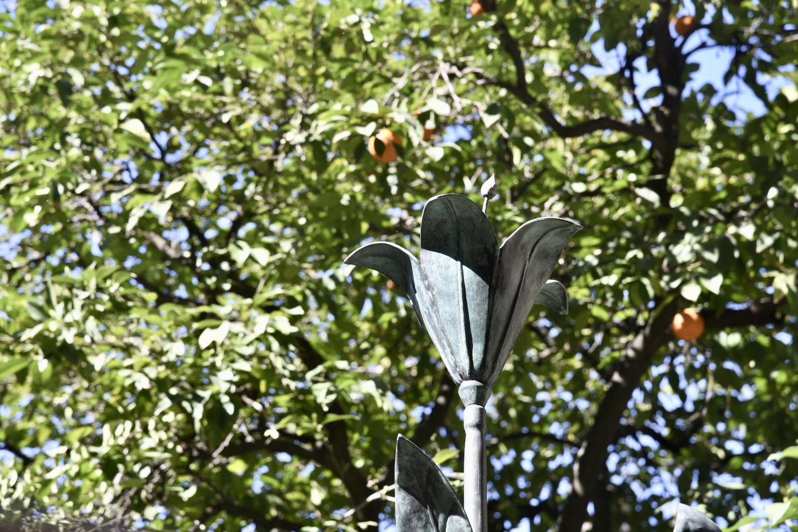 La retirada de las jarras de las azucenas de la Giralda, en imágenes