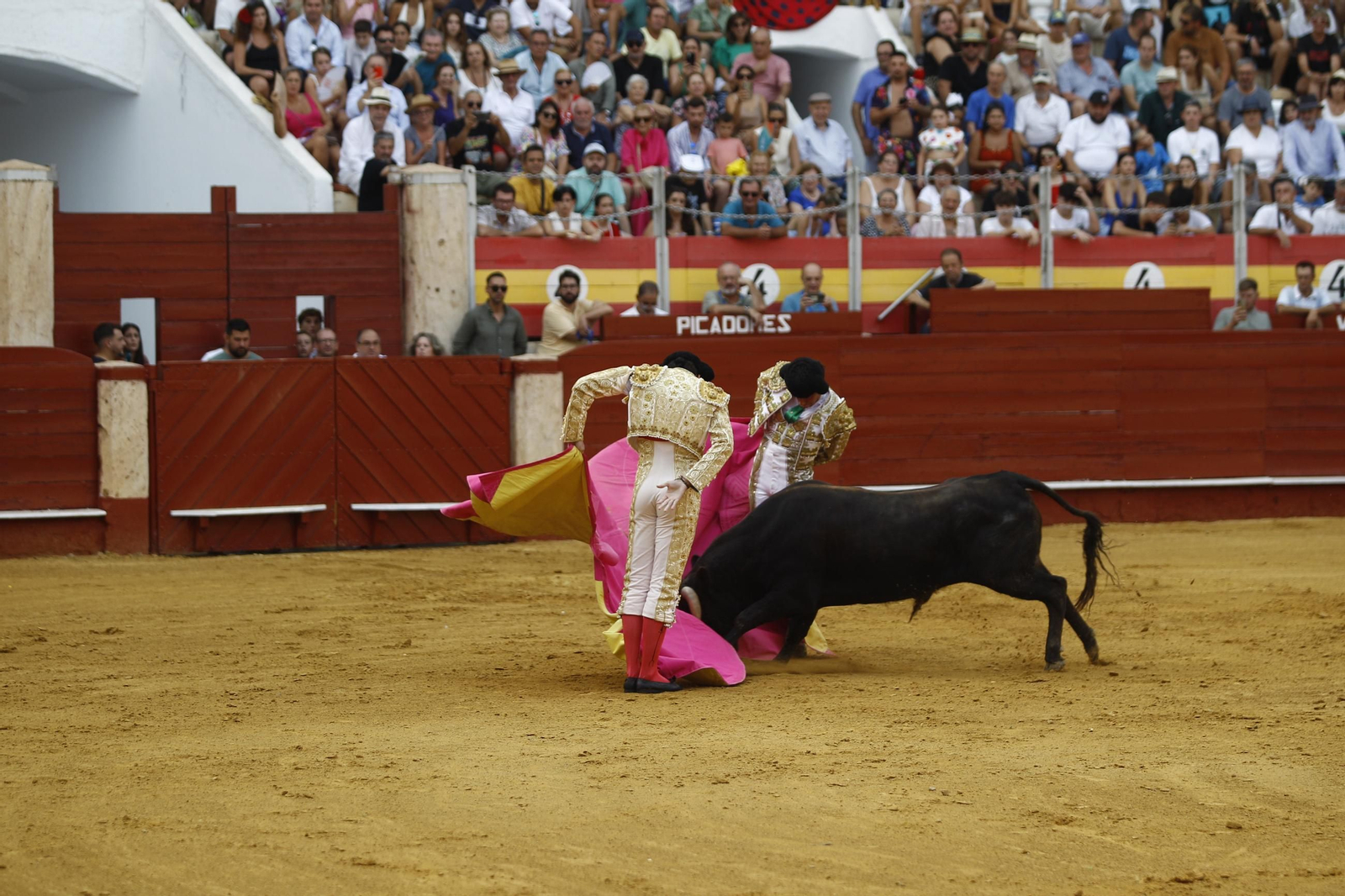 Las mejores imágenes de la clase práctica de la Escuela Municipal Taurina de Almería