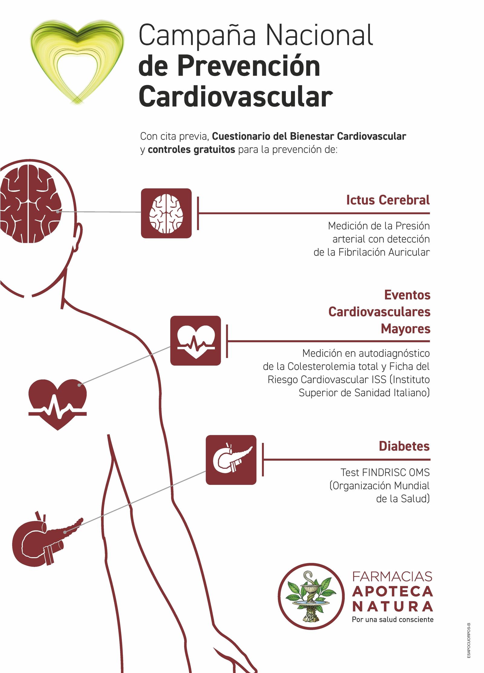 Campaña Cardiovascular