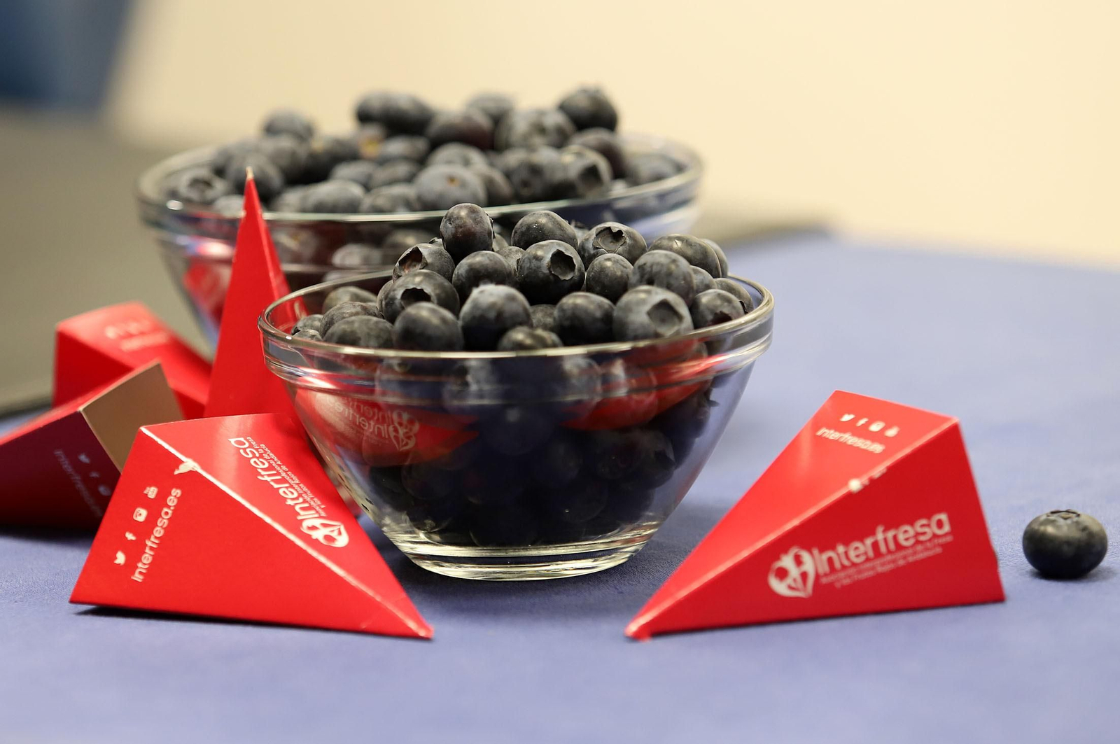 Cuenco con arándanos producidos en Huelva.