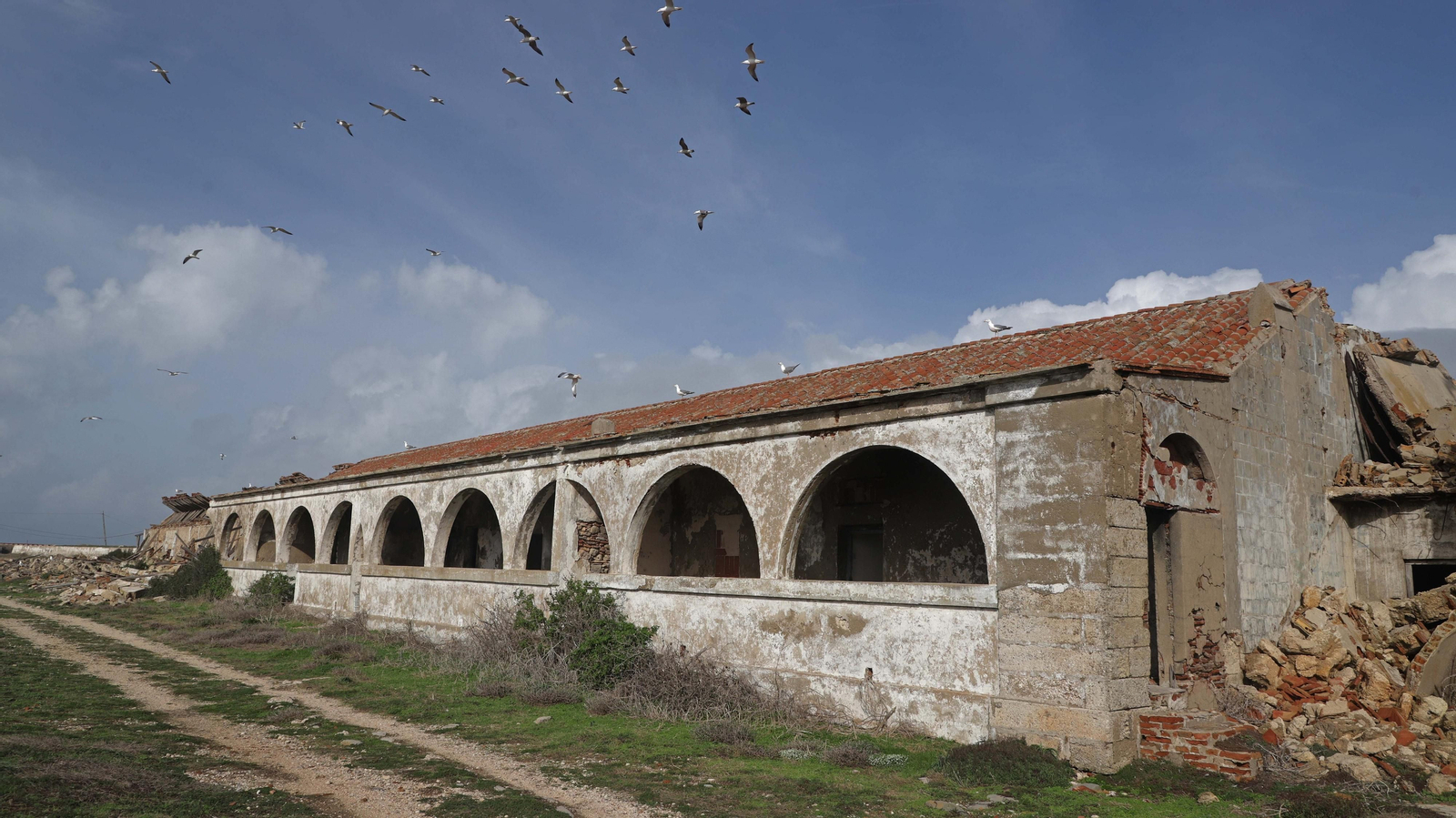 Fotos de la Isla de Las Palomas en Tarifa