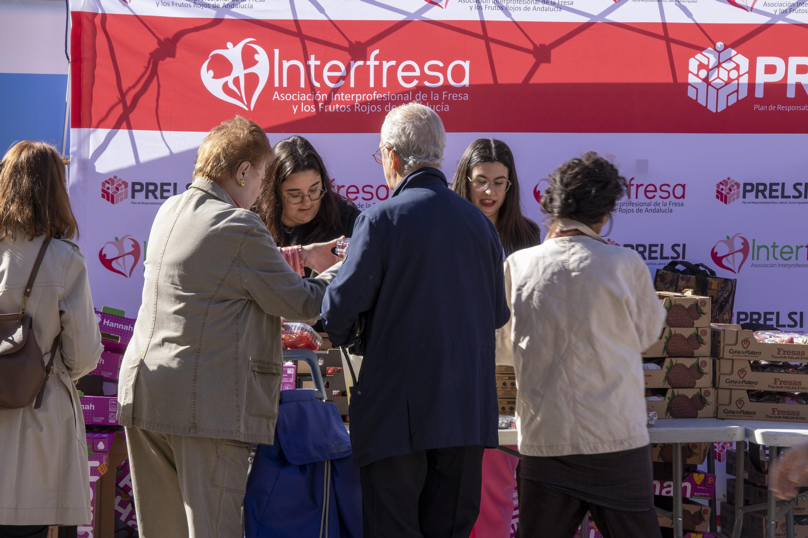 Las mejores imágenes de la Muestra de Primavera en Plaza de las Monjas, Huelva
