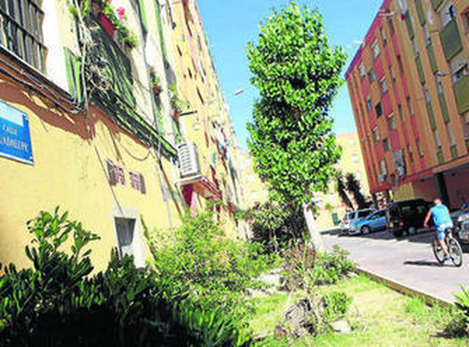 Zona ajardinada de la calle Guadalupe, que se regaba desde los grifos denunciados.