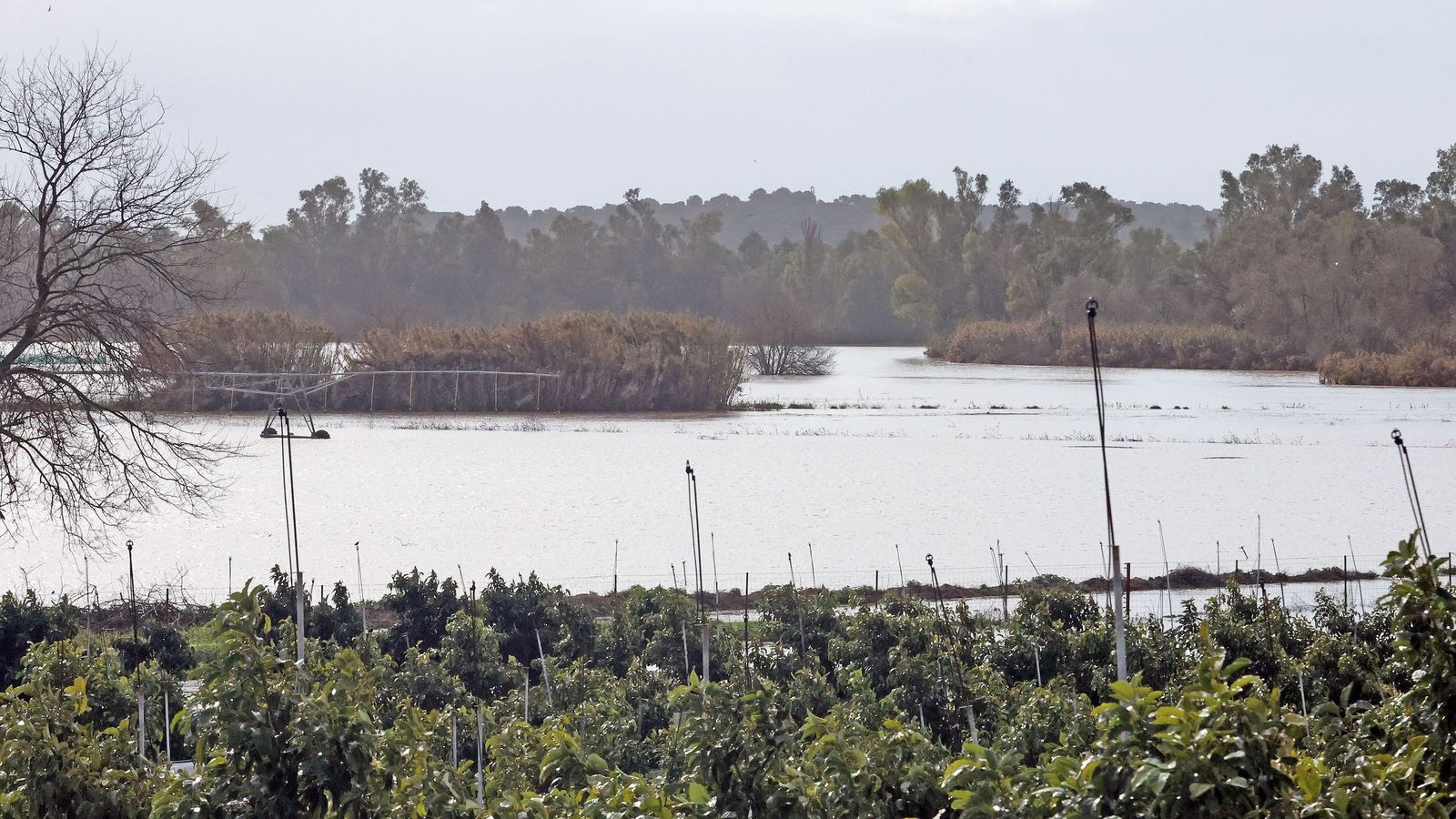 Así afronta la zona rural de Jerez la subida del río Guadalete