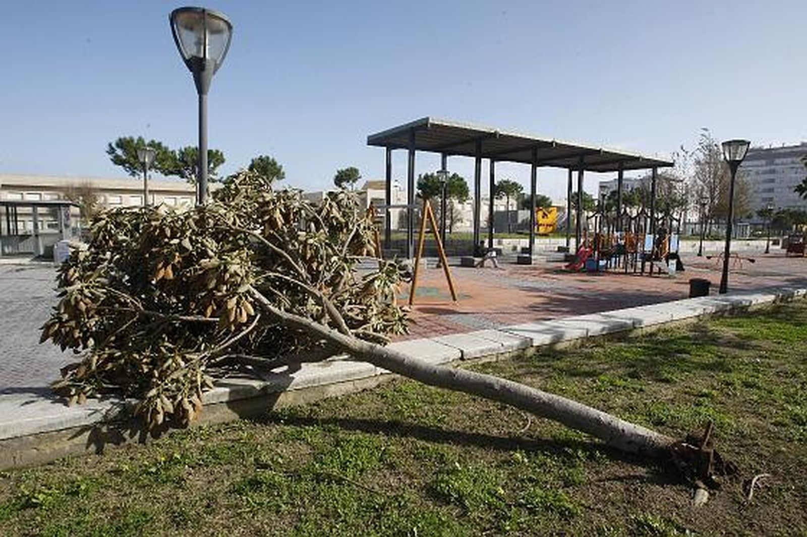 La noche de viento y lluvia se salda con múltiples destrozos en la capital. 

Foto: Jose Braza