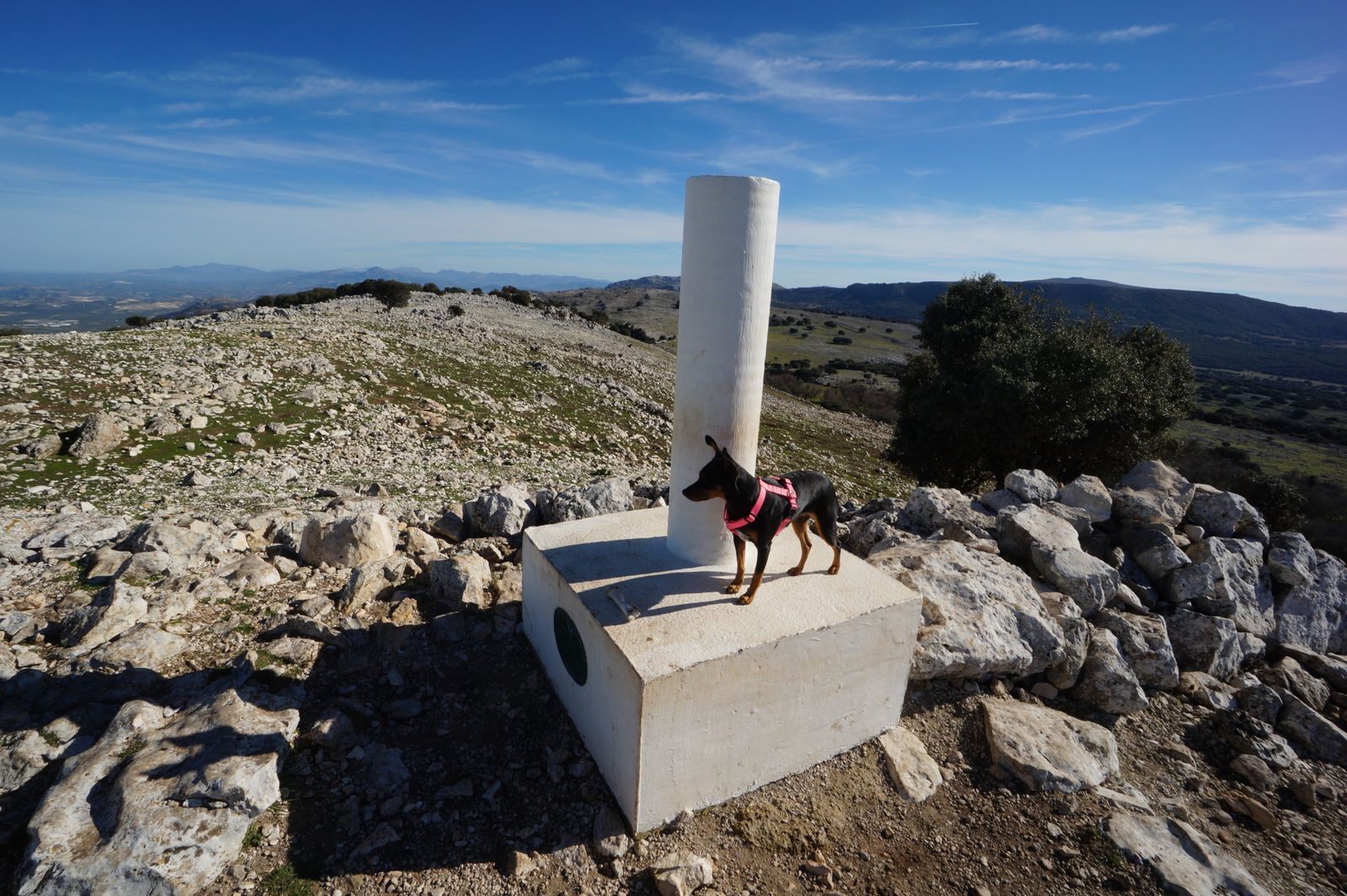 Sierra Abrevia, en Doña Mencía.