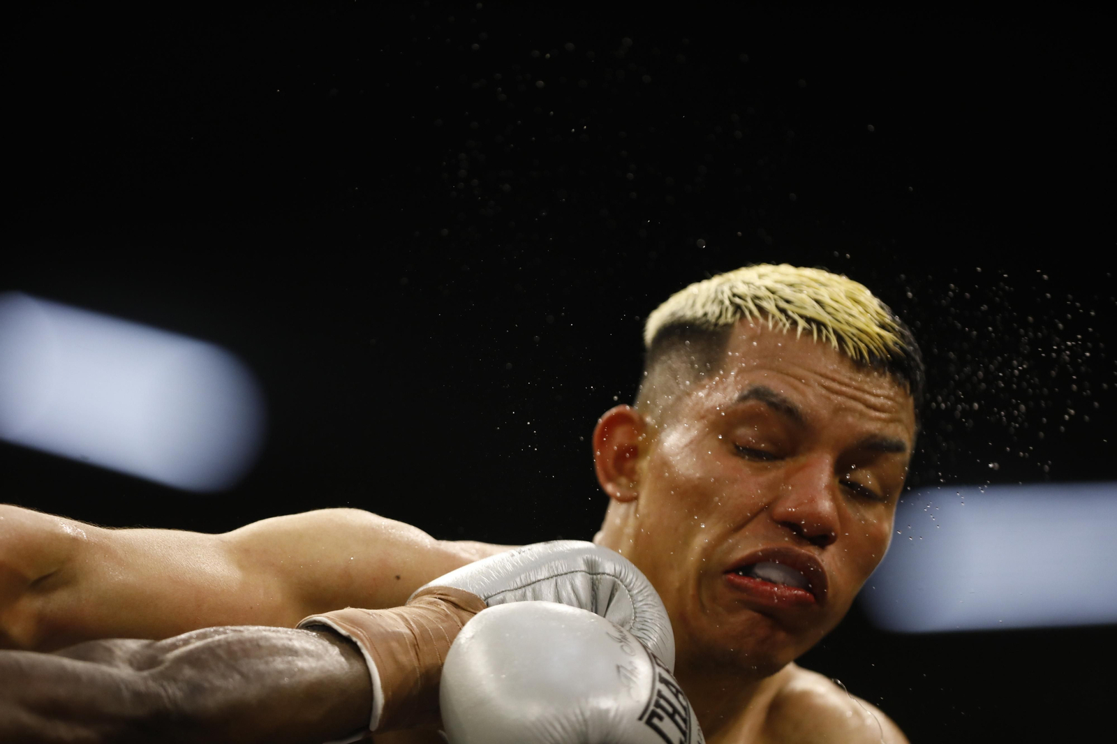 Las imágenes del combate entre José Luis Navarro Jr y Ronny Landaeta en Córdoba