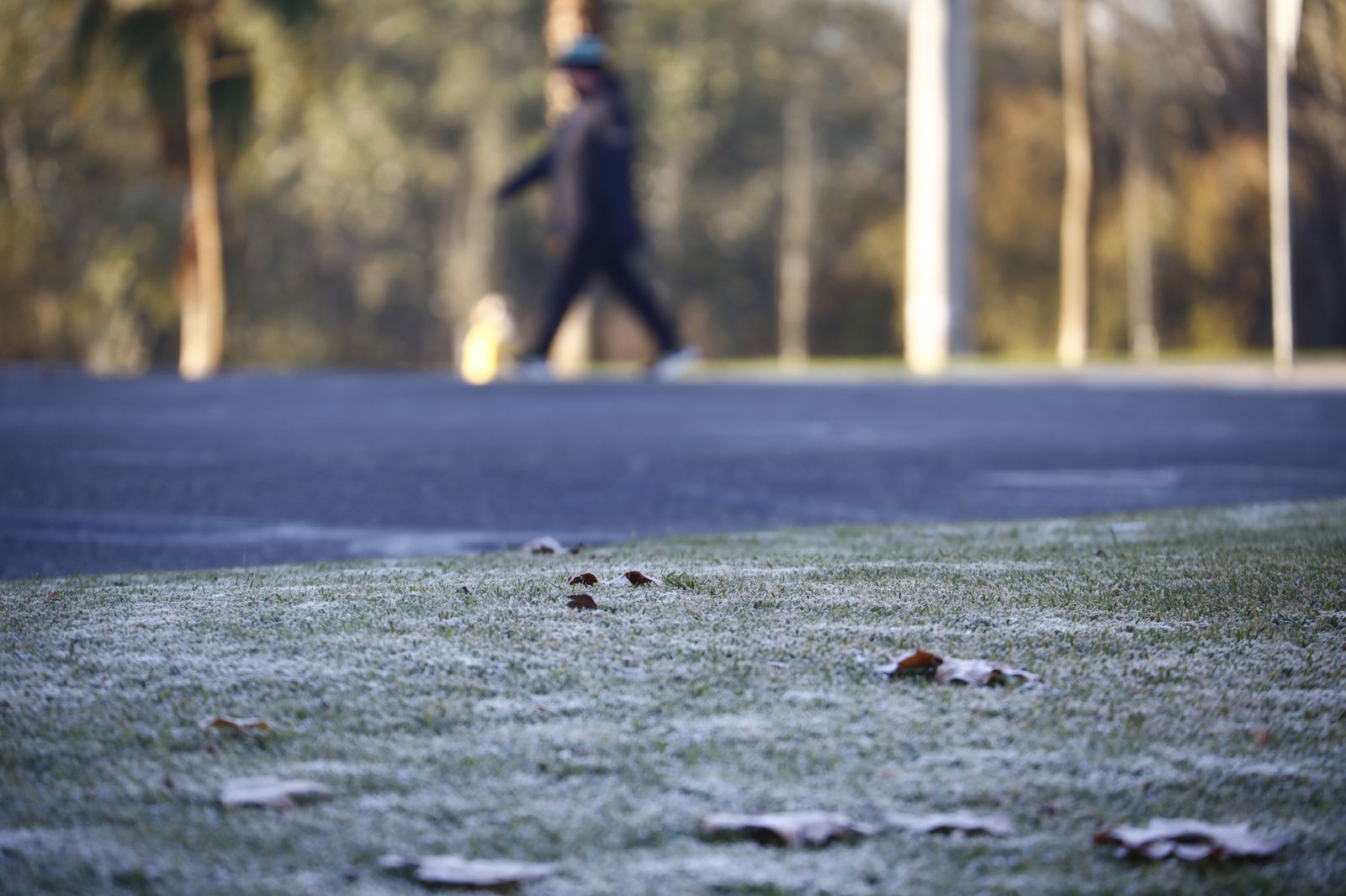 La ola de frío en Córdoba, en fotografías