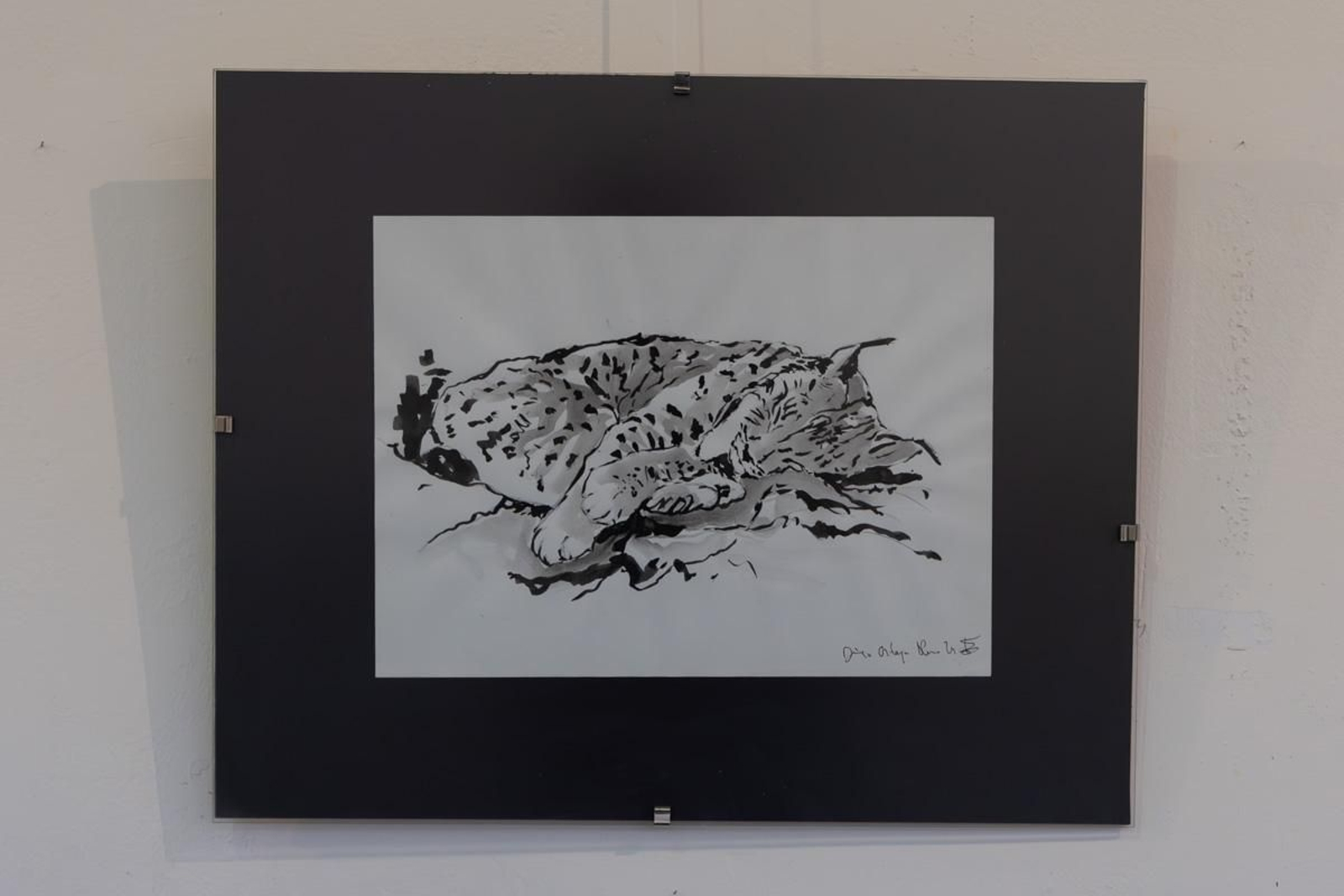 Exposición Los pinceles del lince ibérico, en imágenes