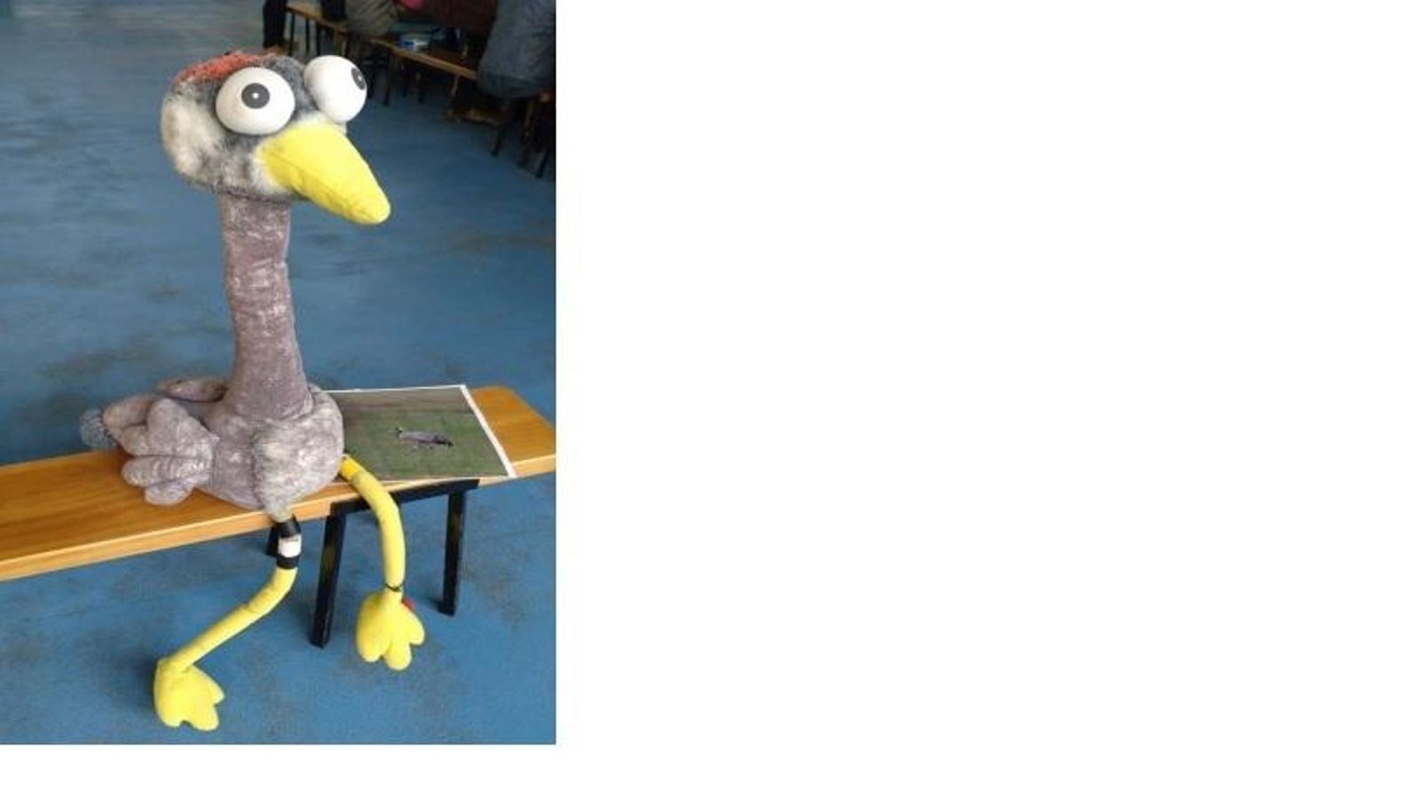 Peluche de la grulla 'Josefina'.
