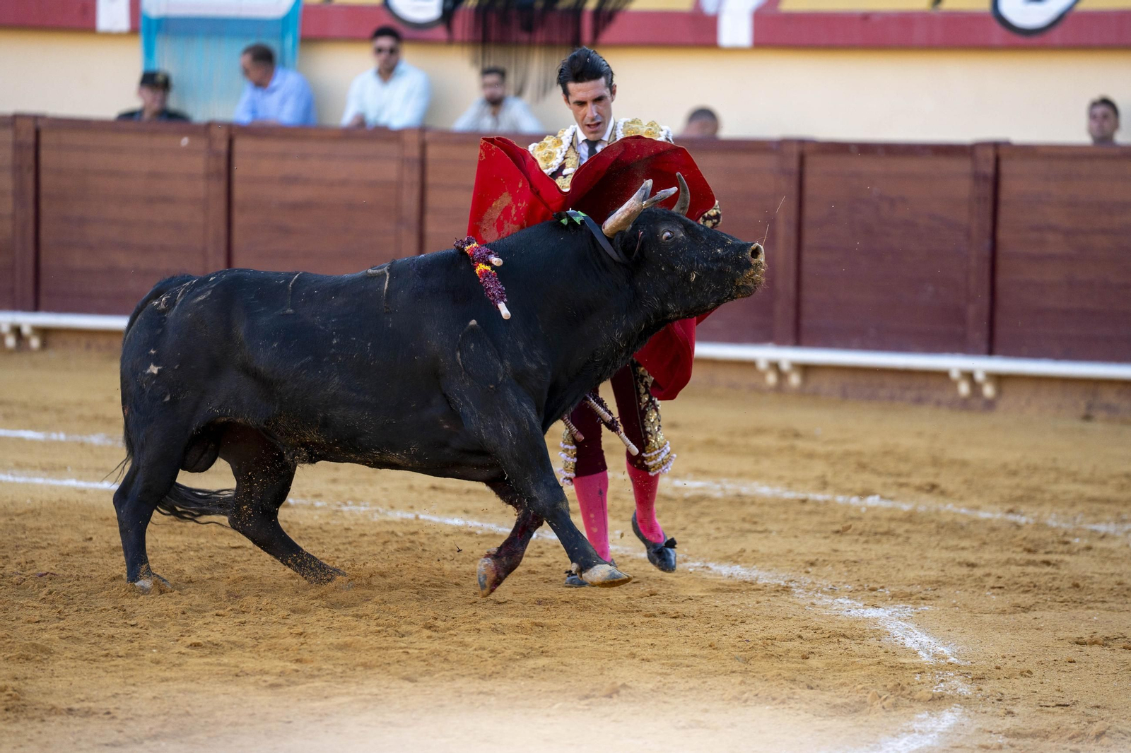 Las imágenes de los toros en Vera
