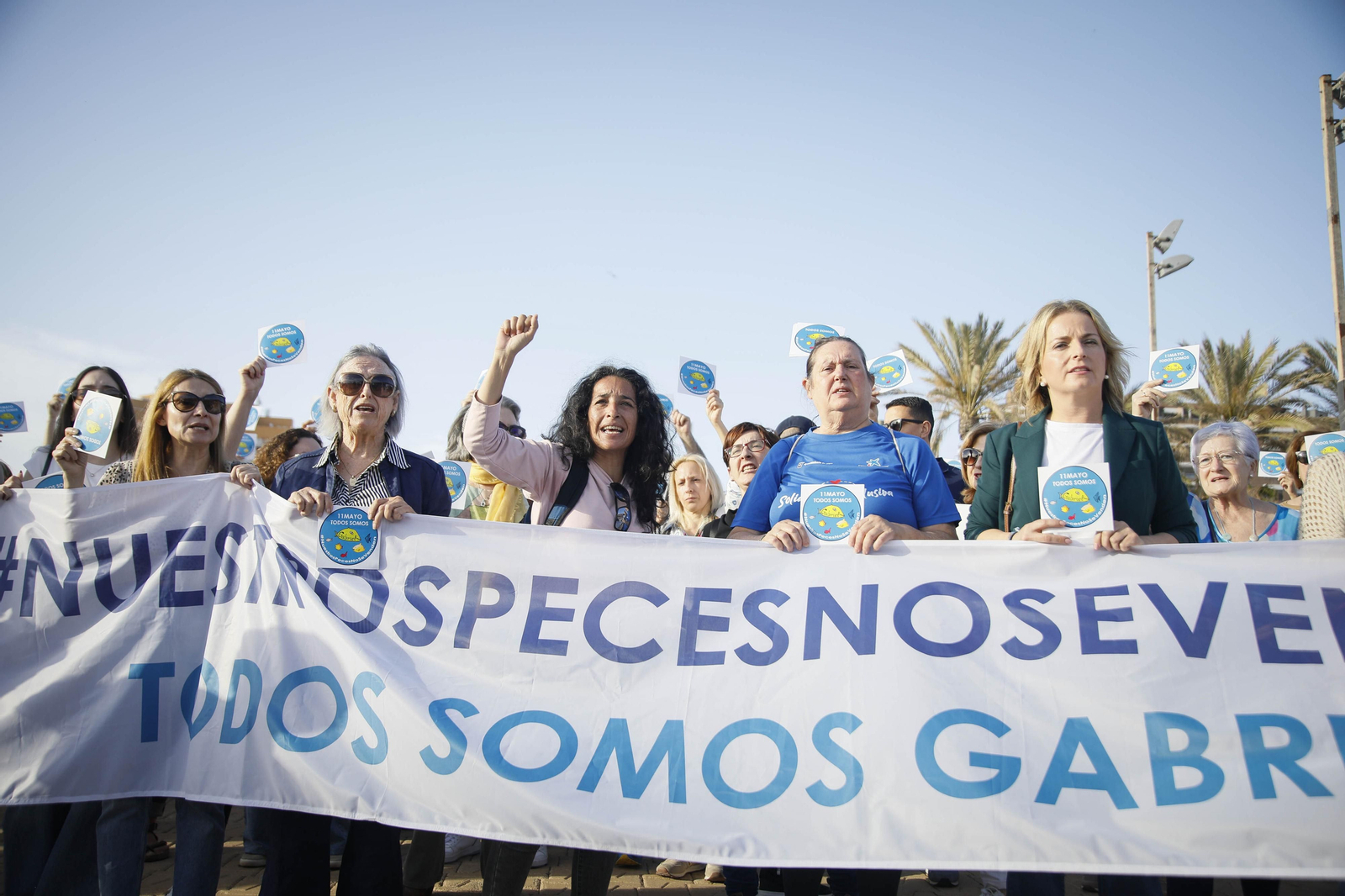 Nuestros peces no se venden, en imágenes