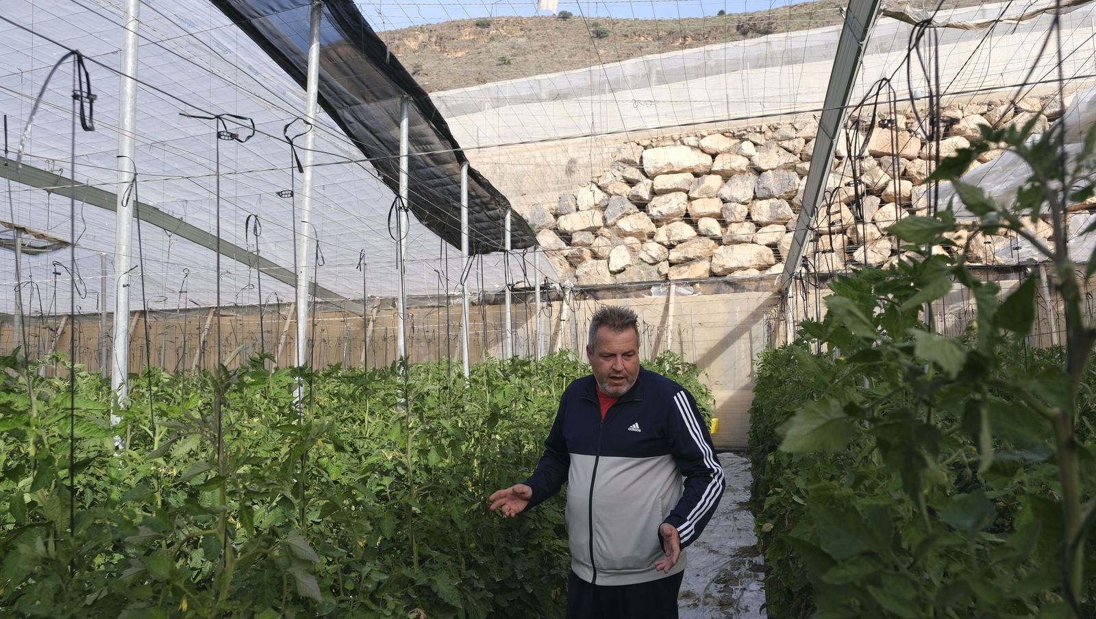 Los efectos del temporal de viento en los invernaderos, en imágenes